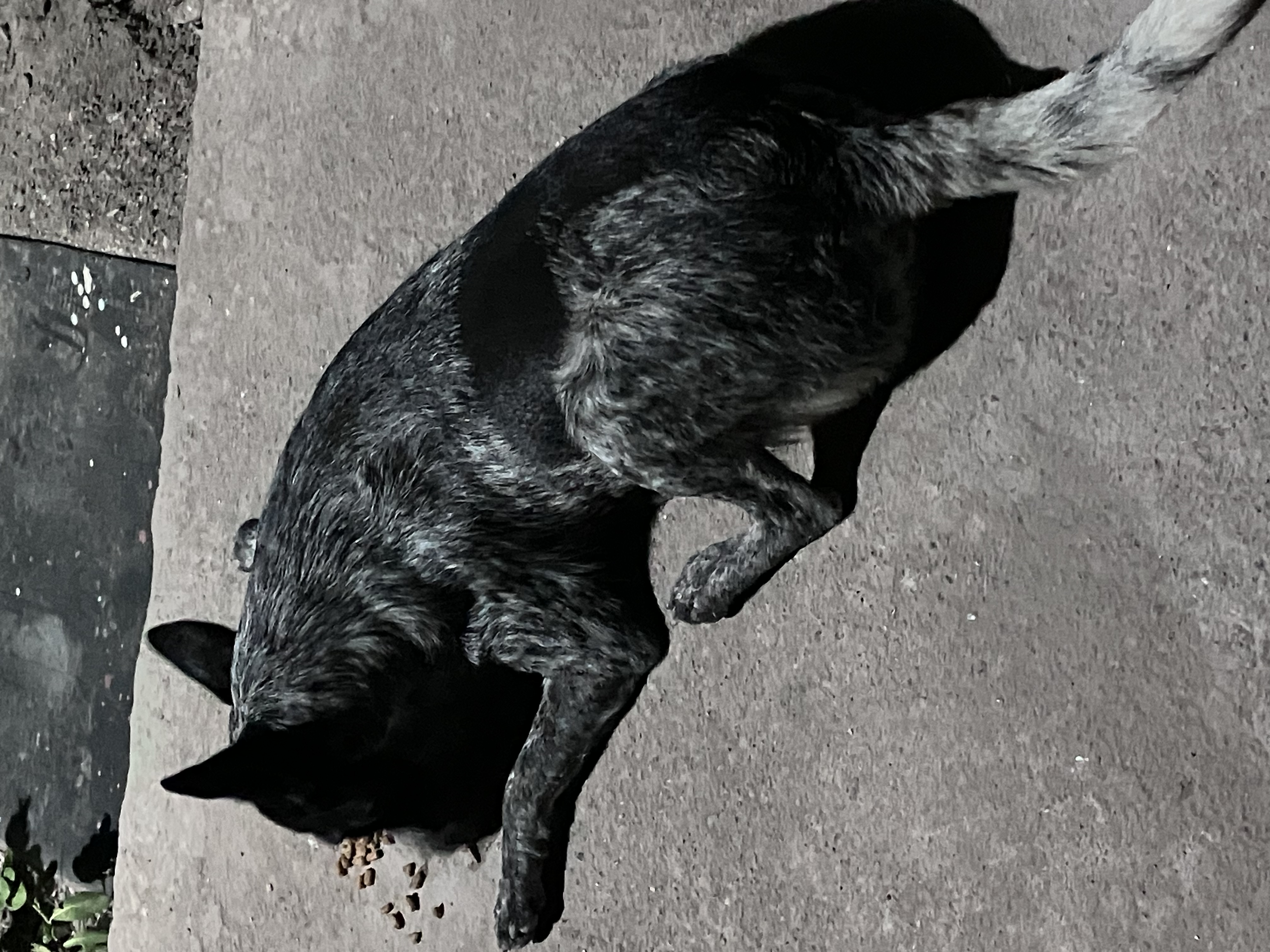 image-8