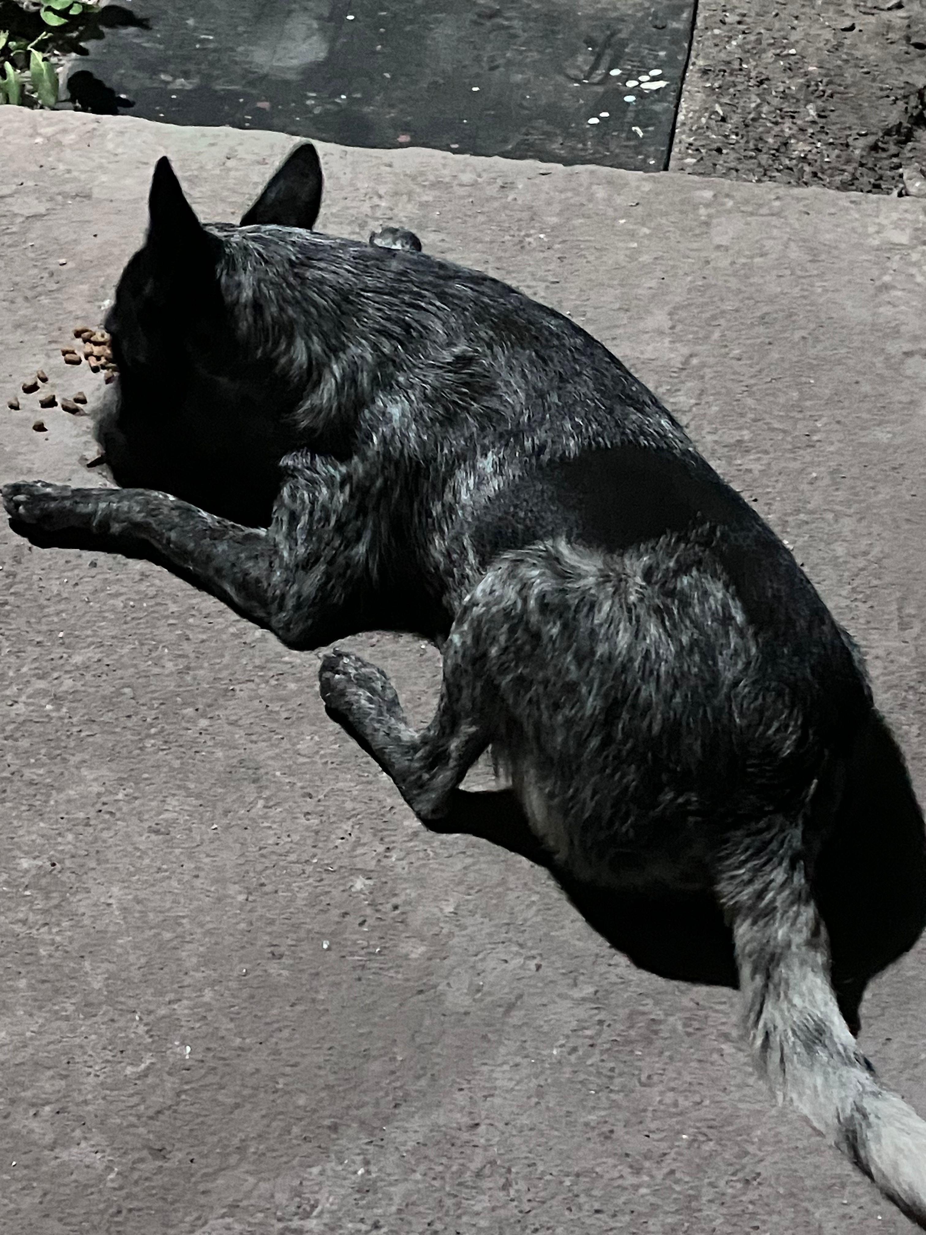 image-8