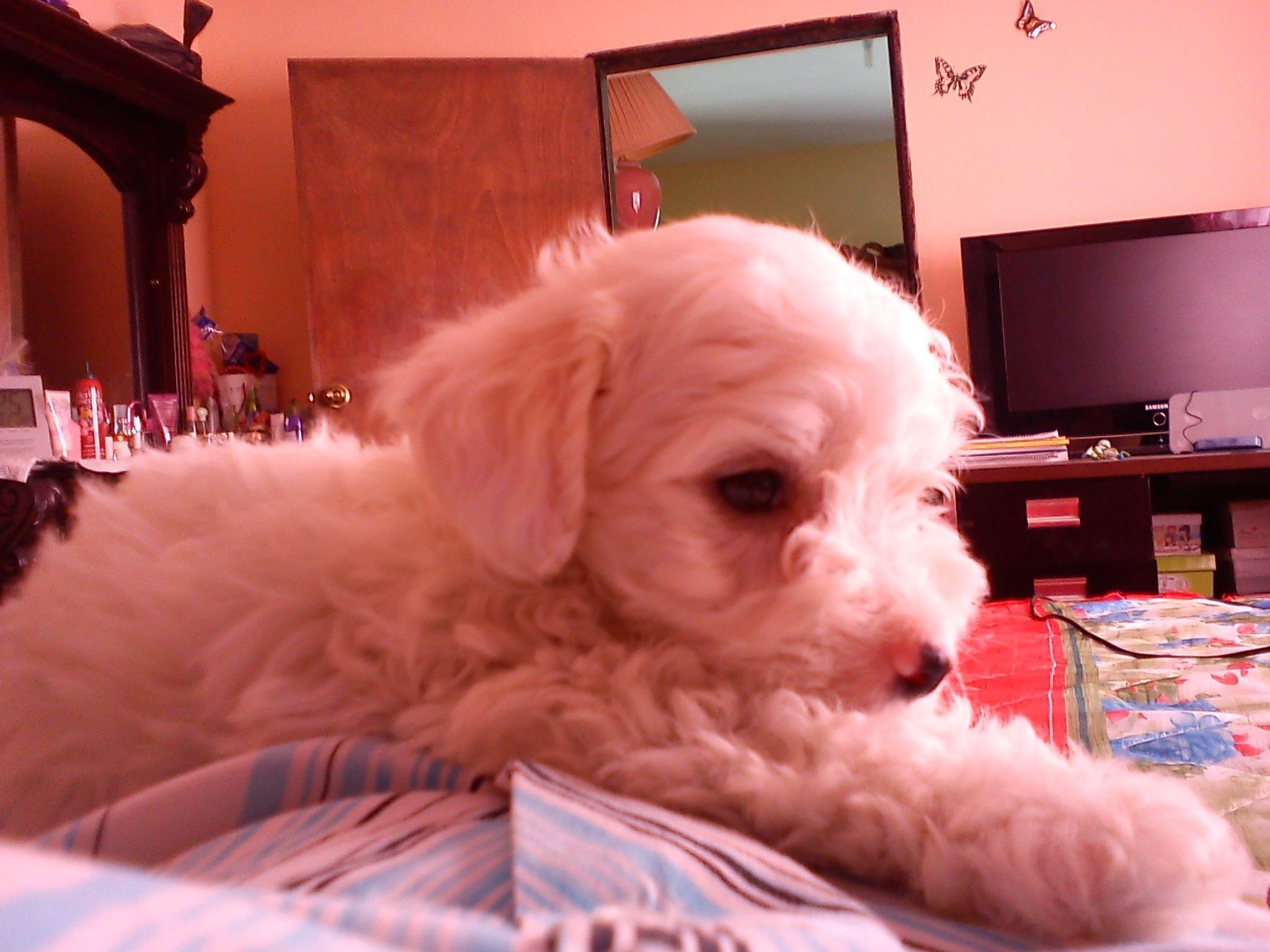 image-5