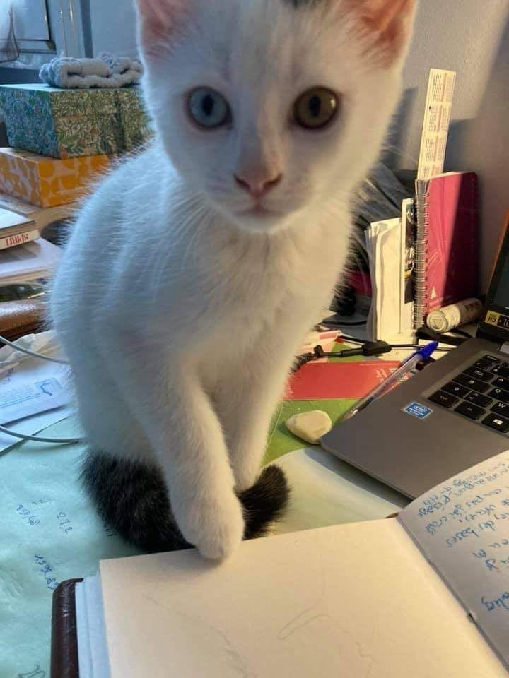 image-6