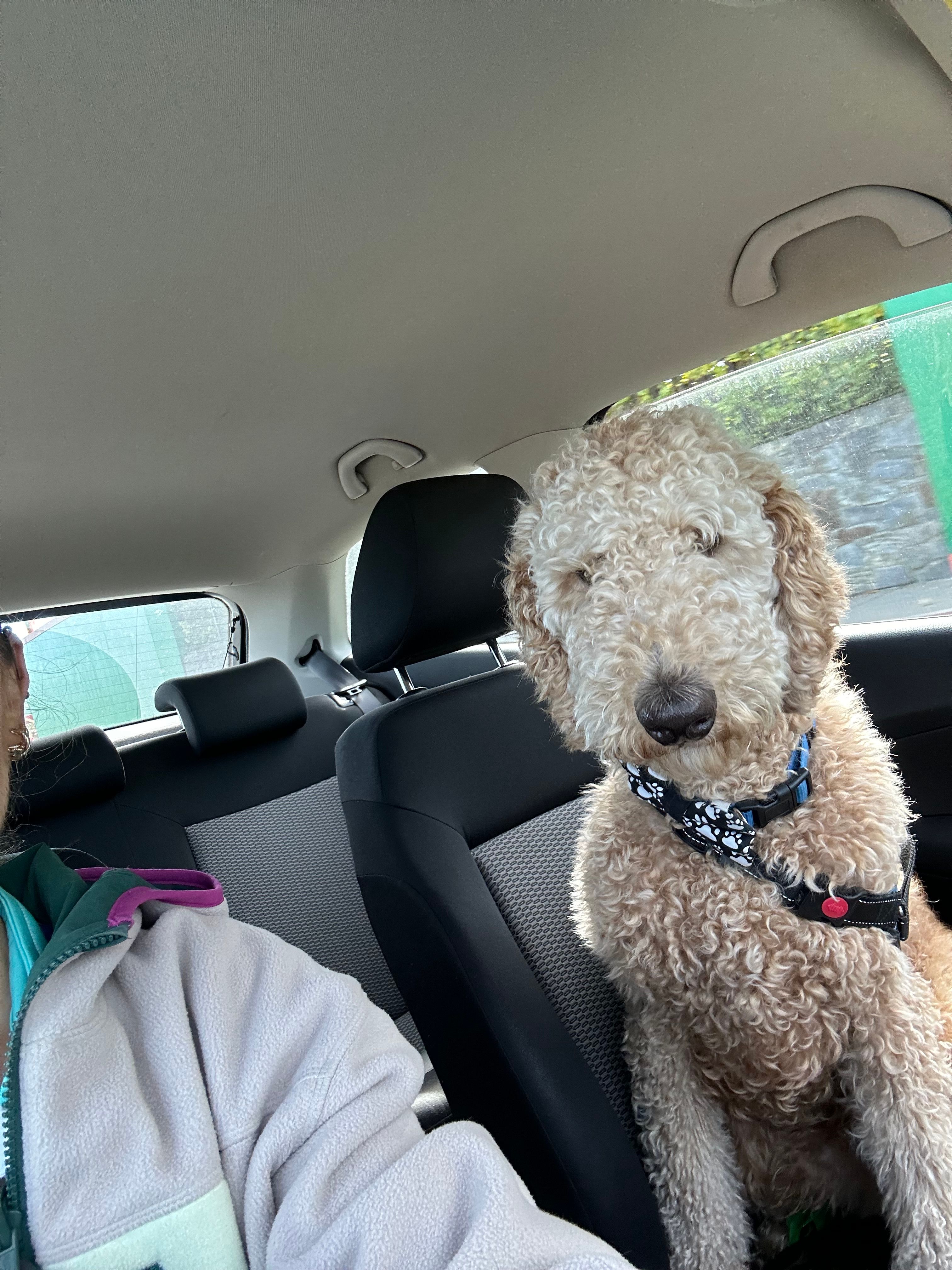 image-4