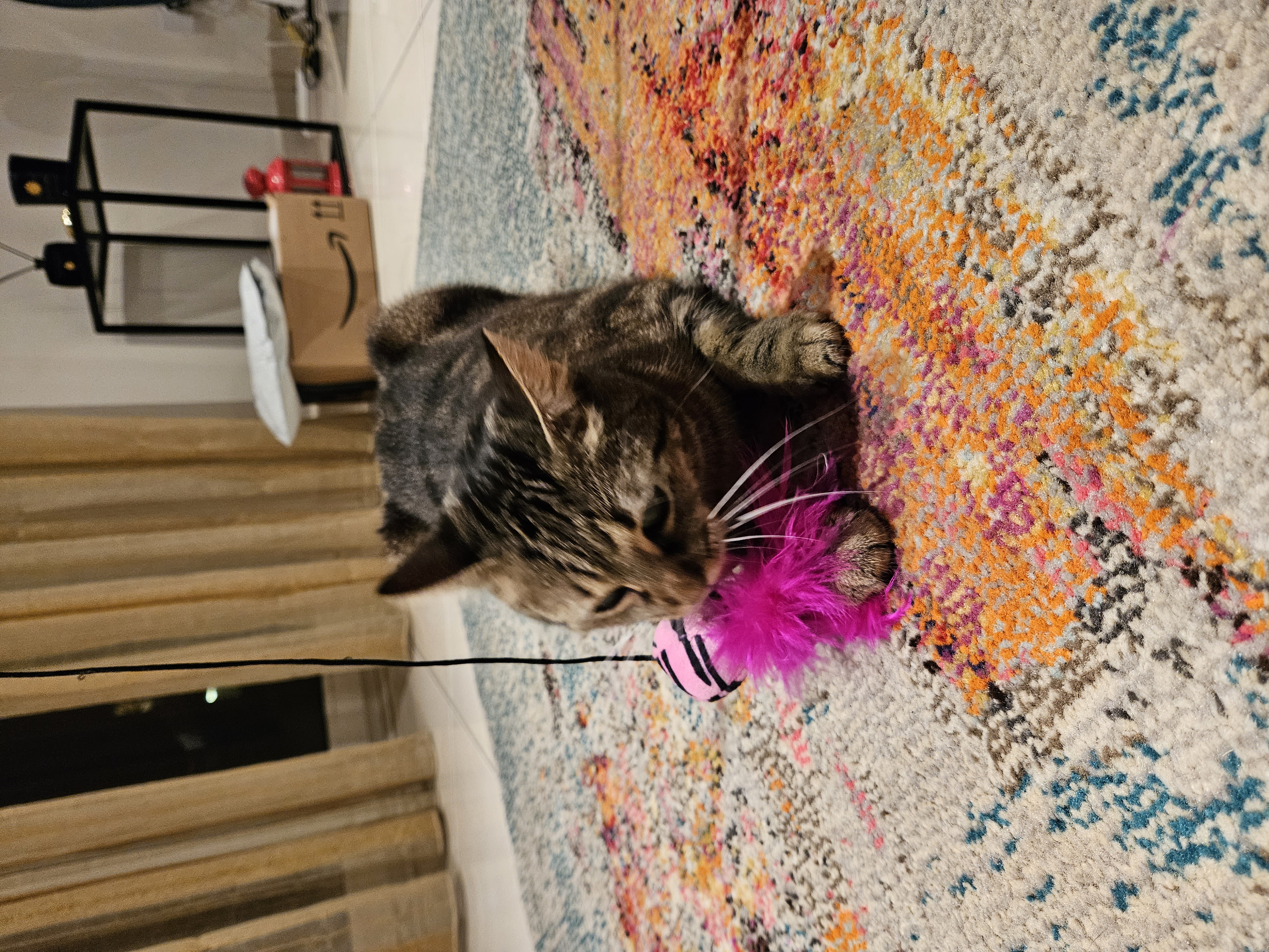 image-18