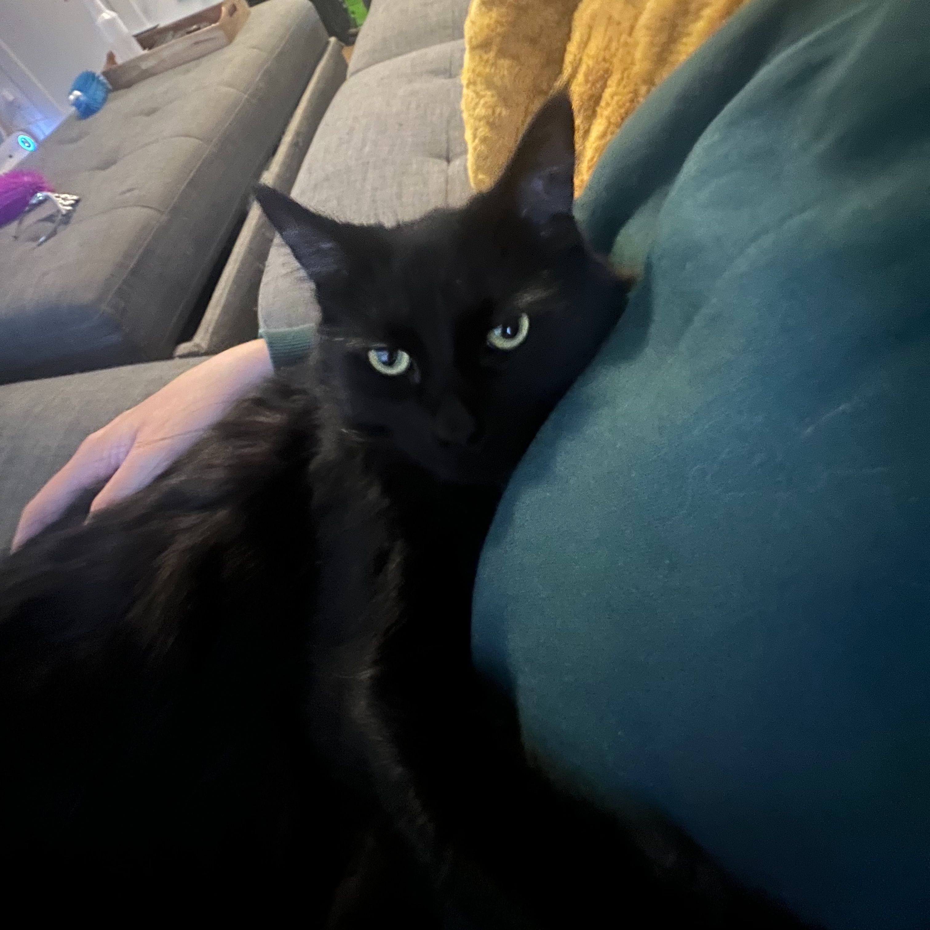 Jinx