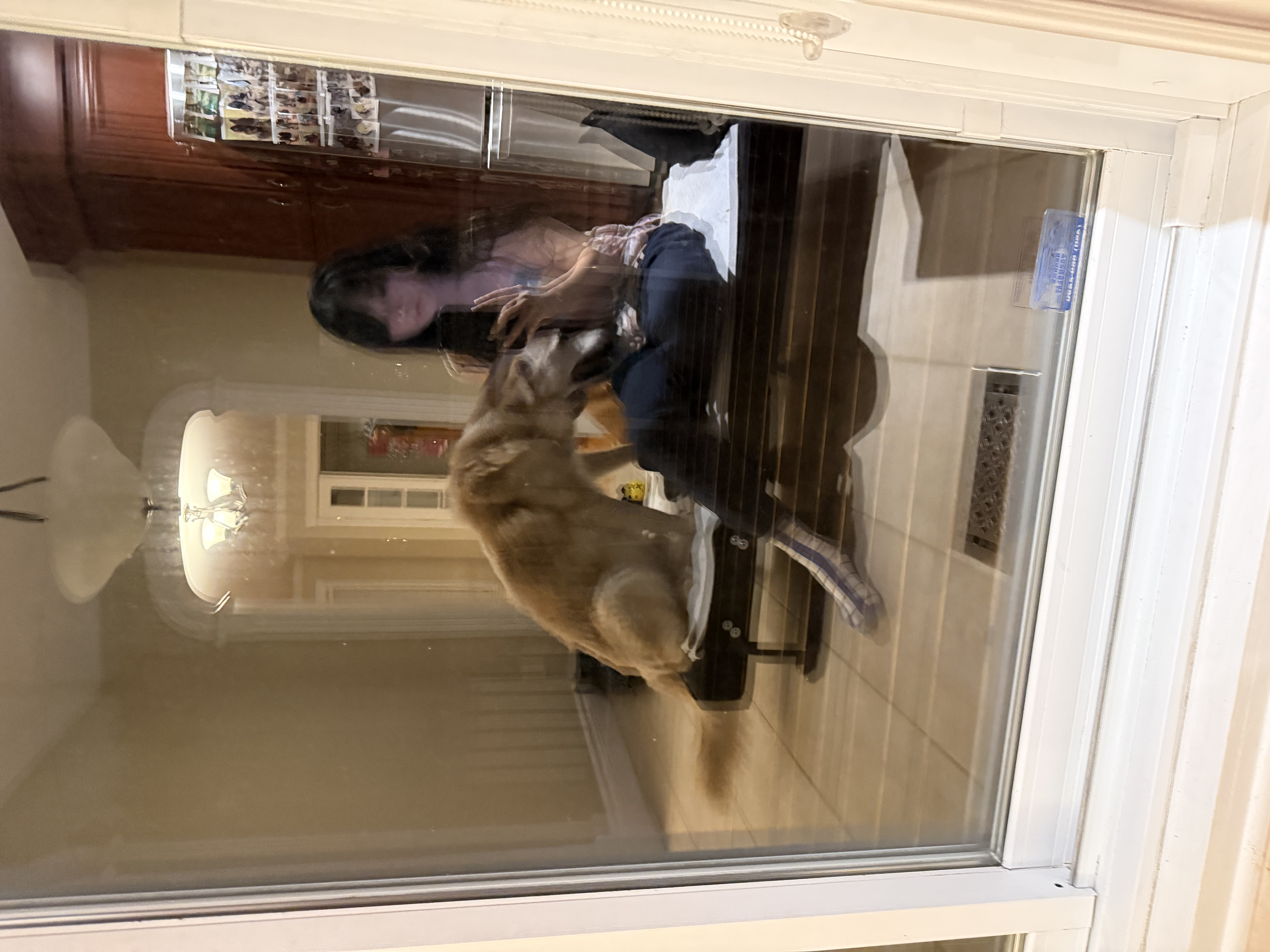 image-12