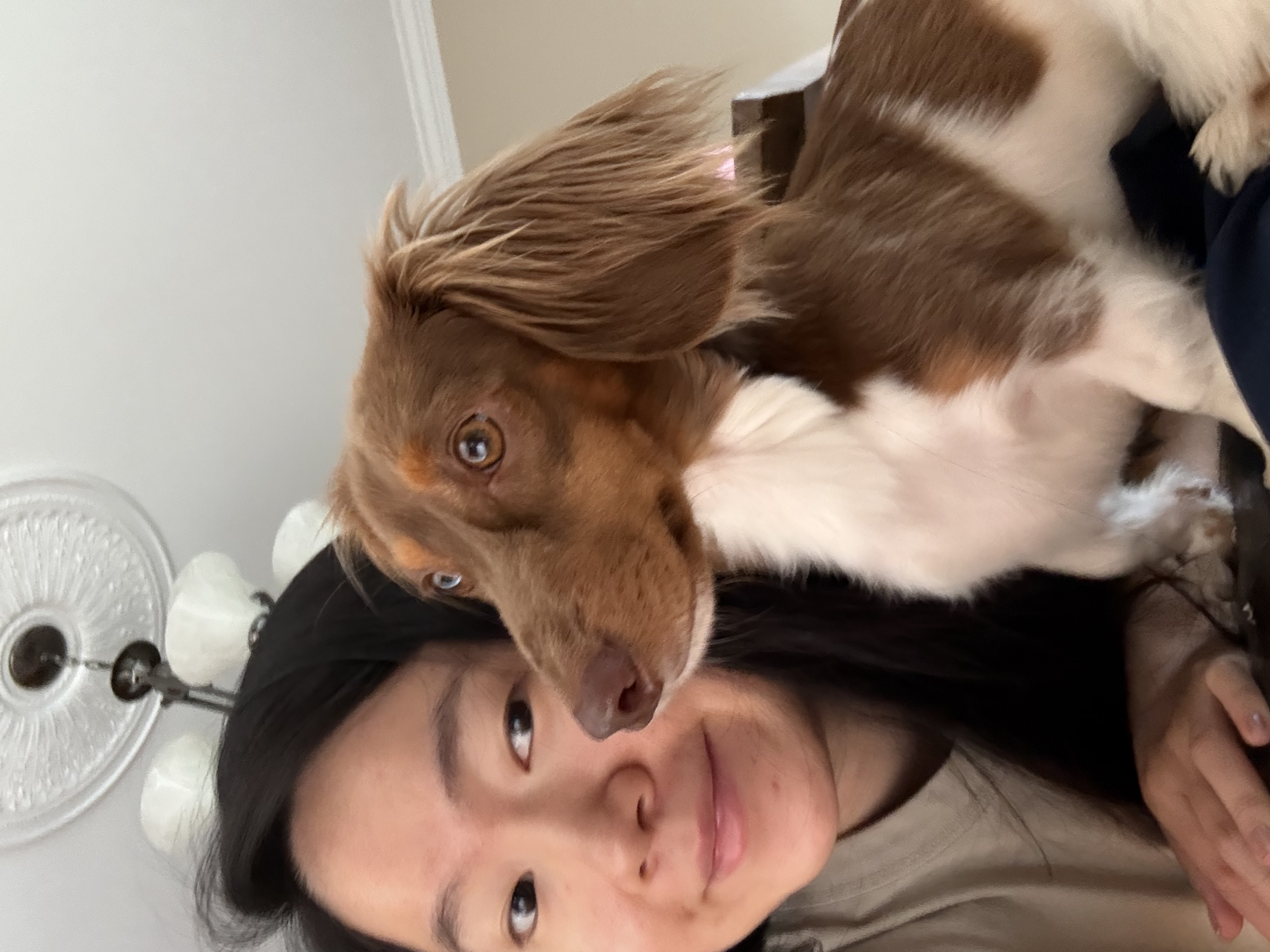 image-4