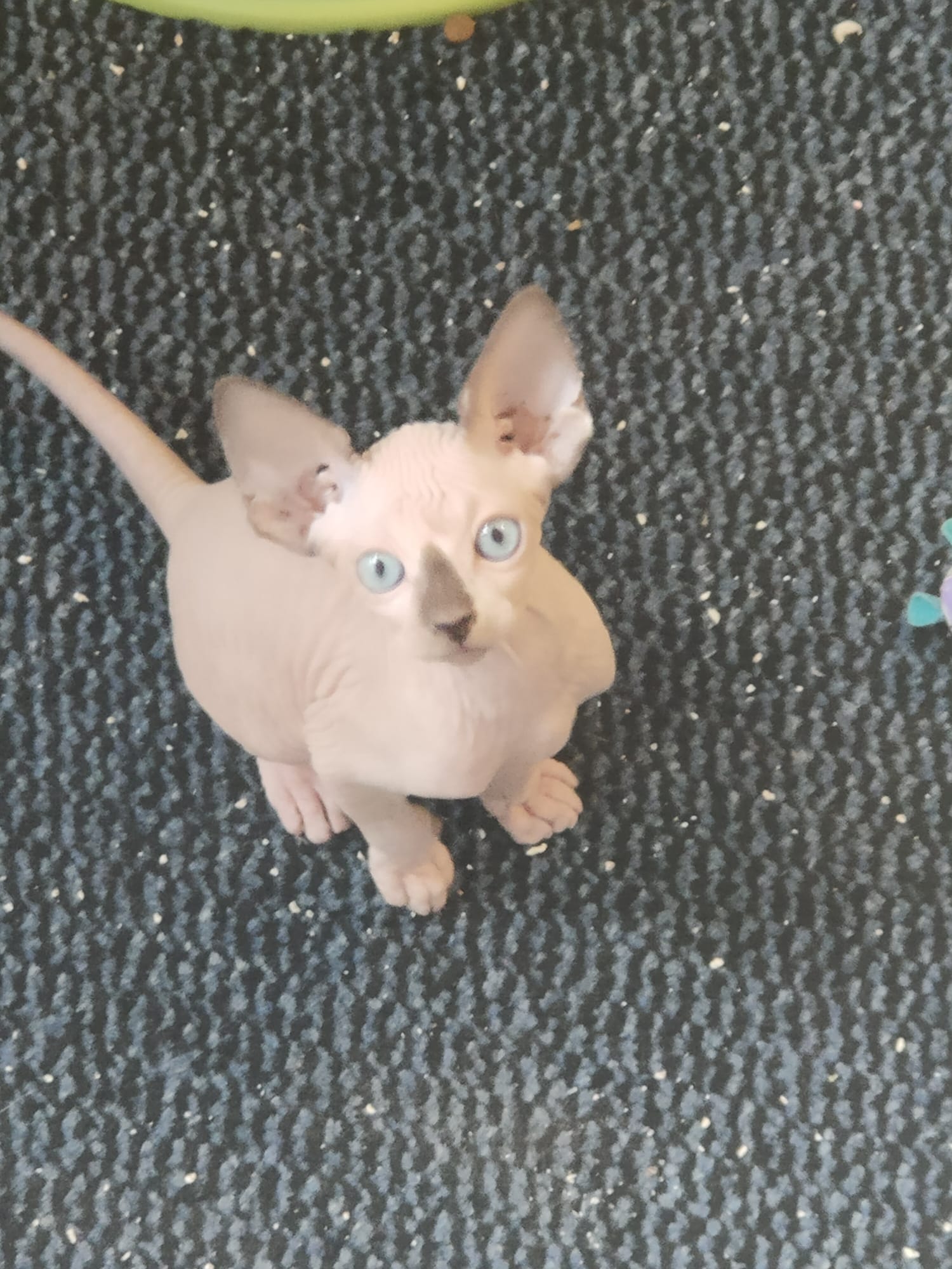 image-6