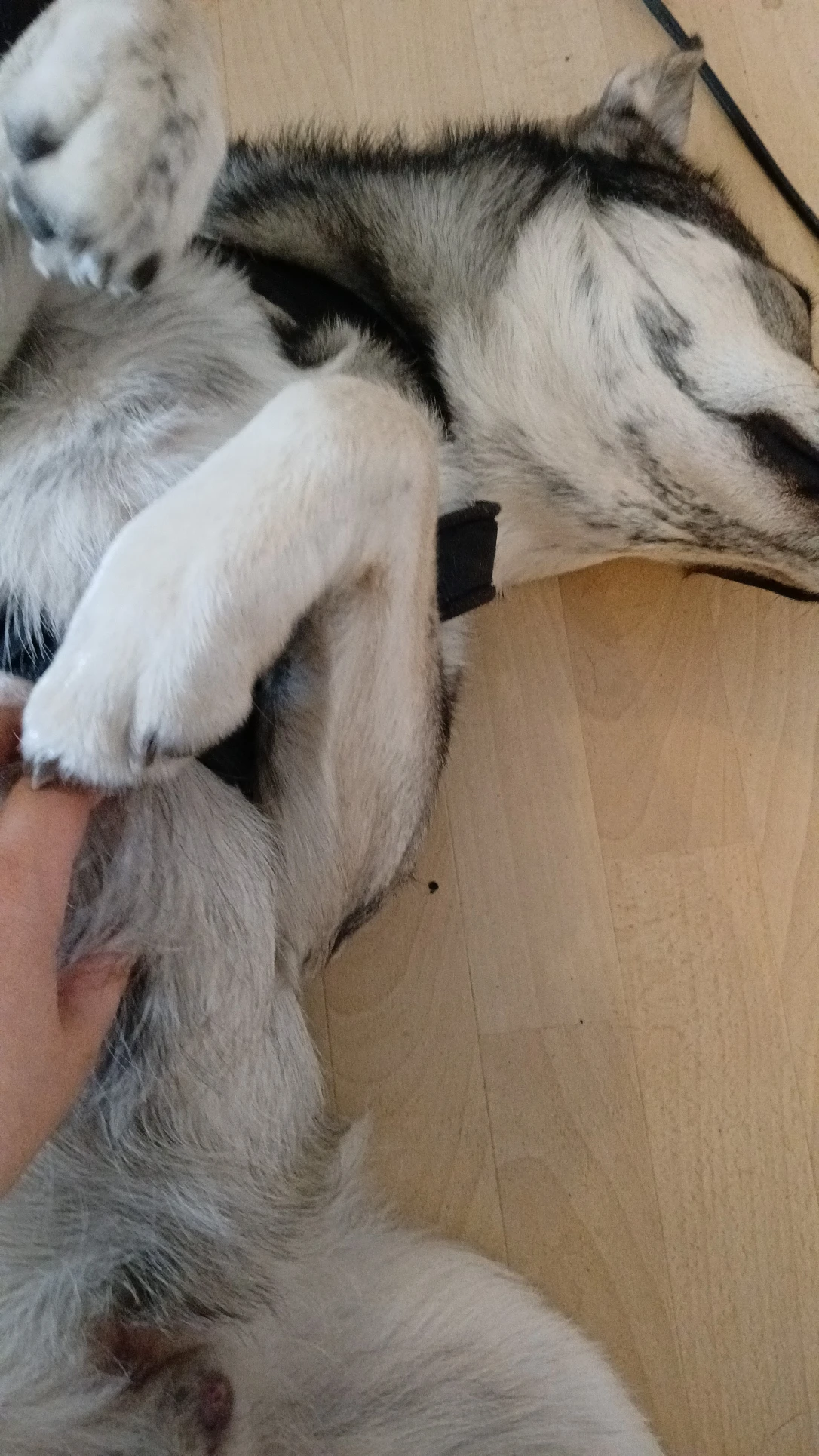 image-6