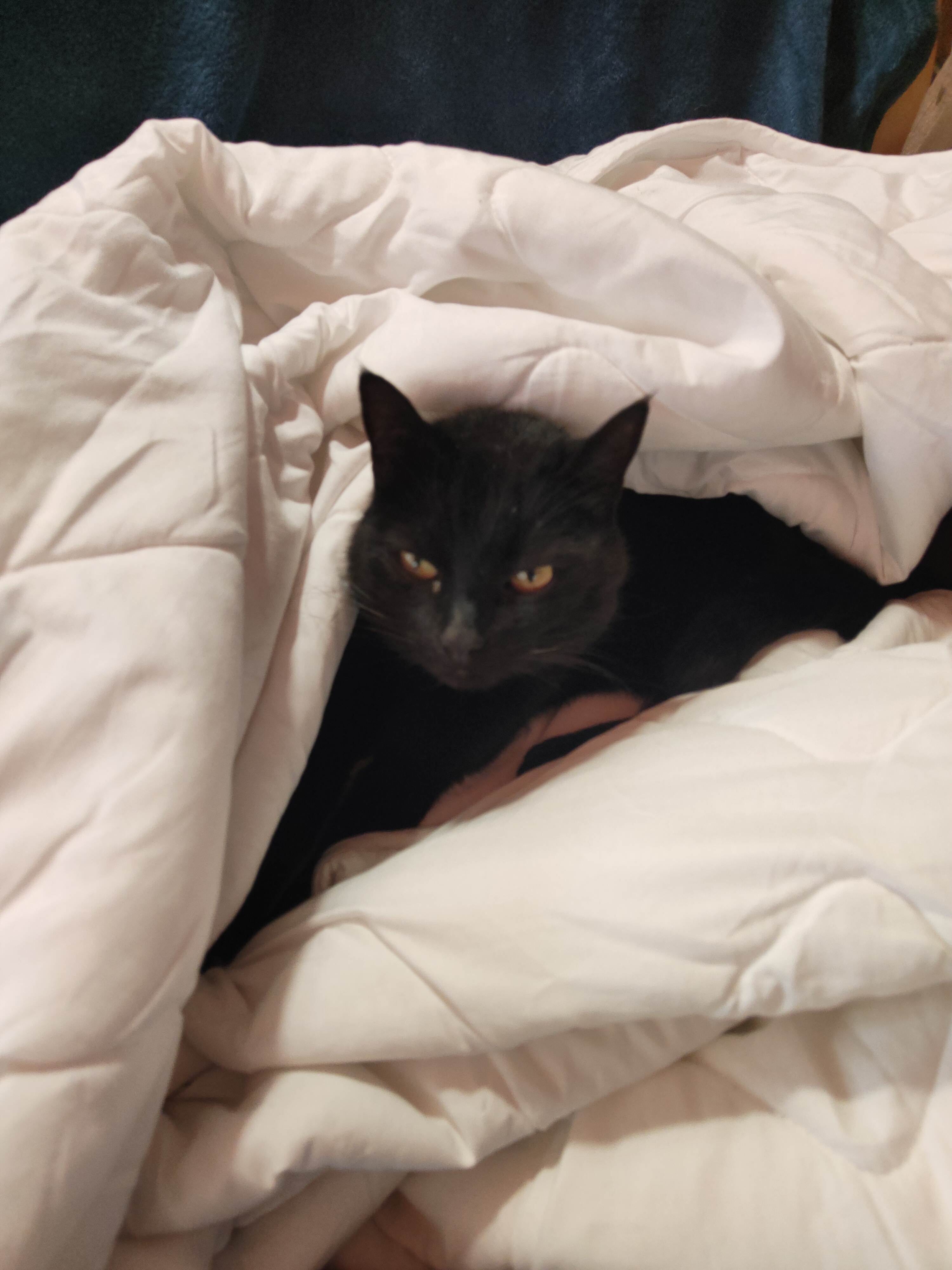 image-6