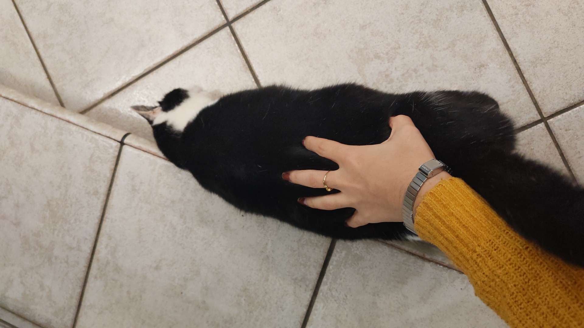 image-7