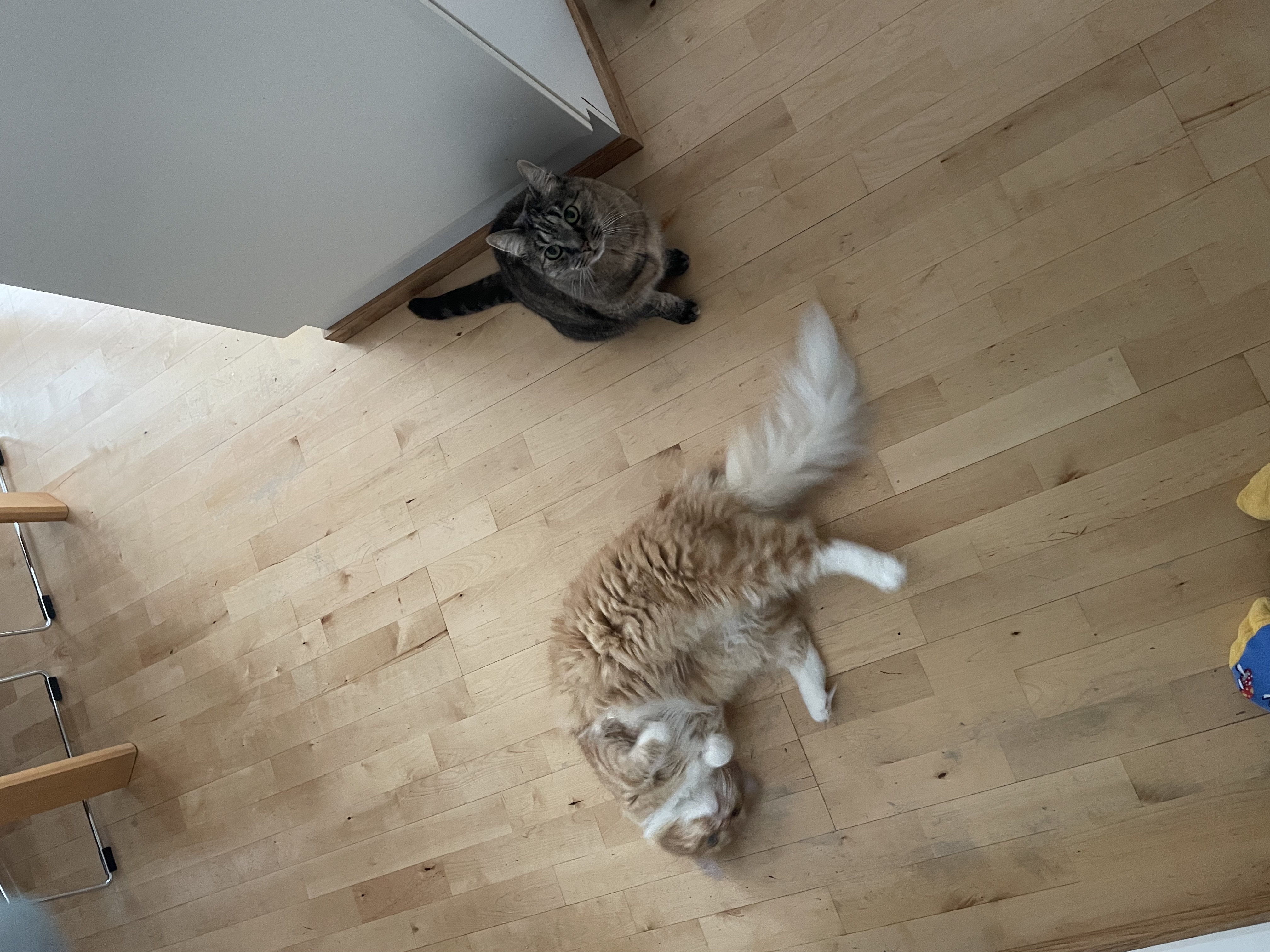 image-15