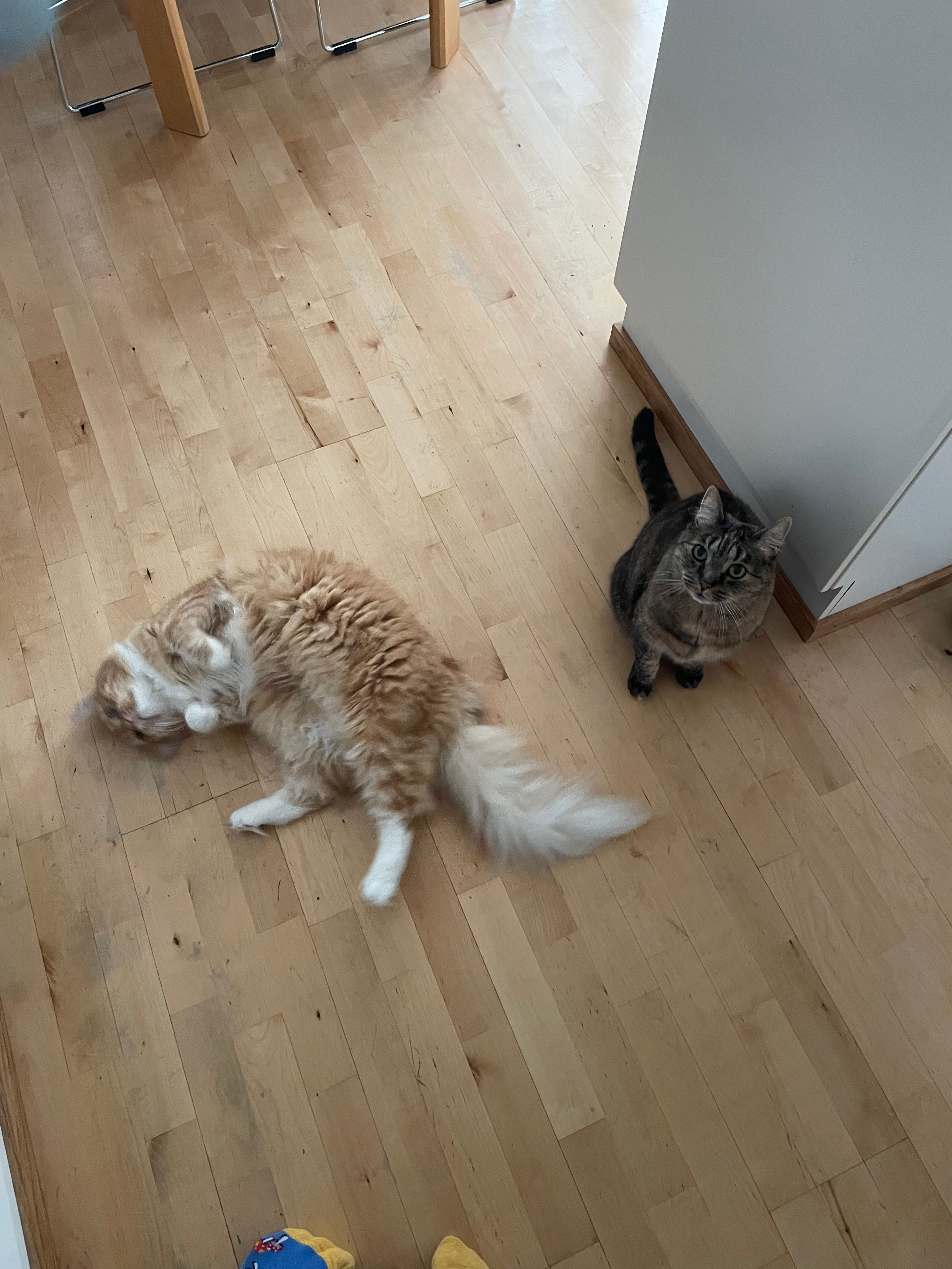 image-15