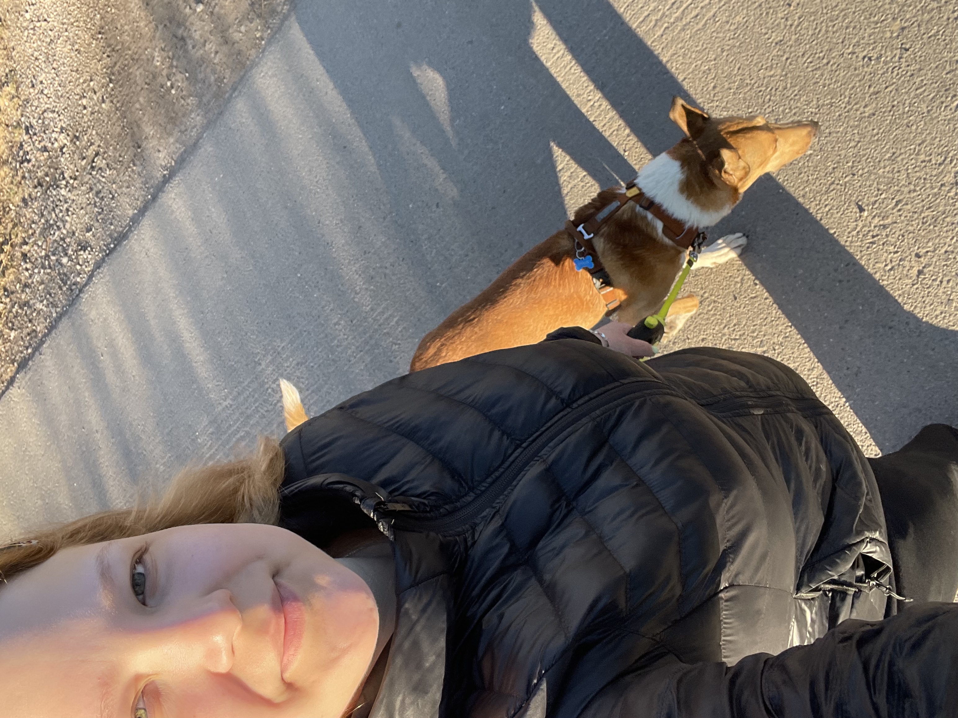 image-15