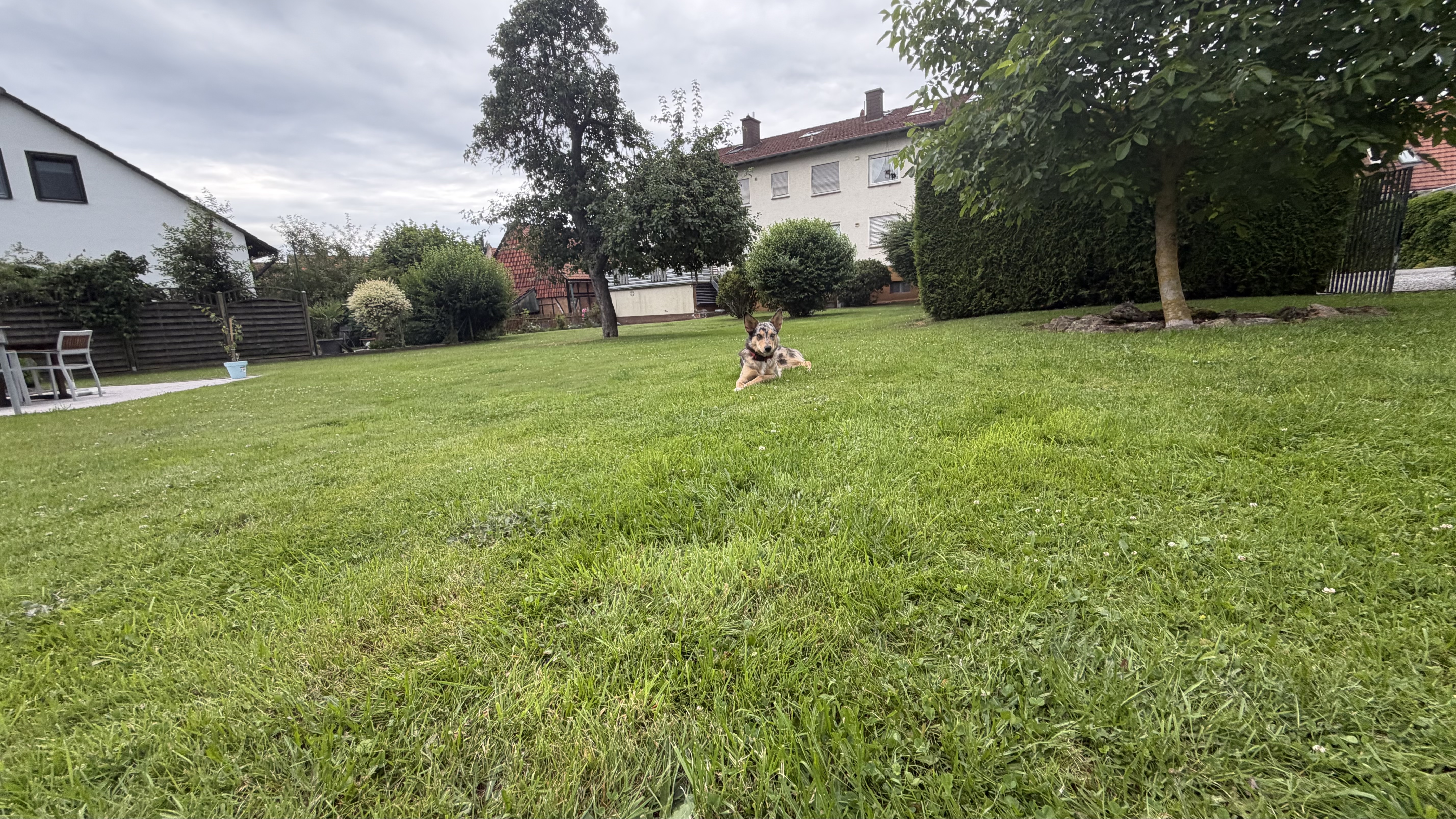 image-17