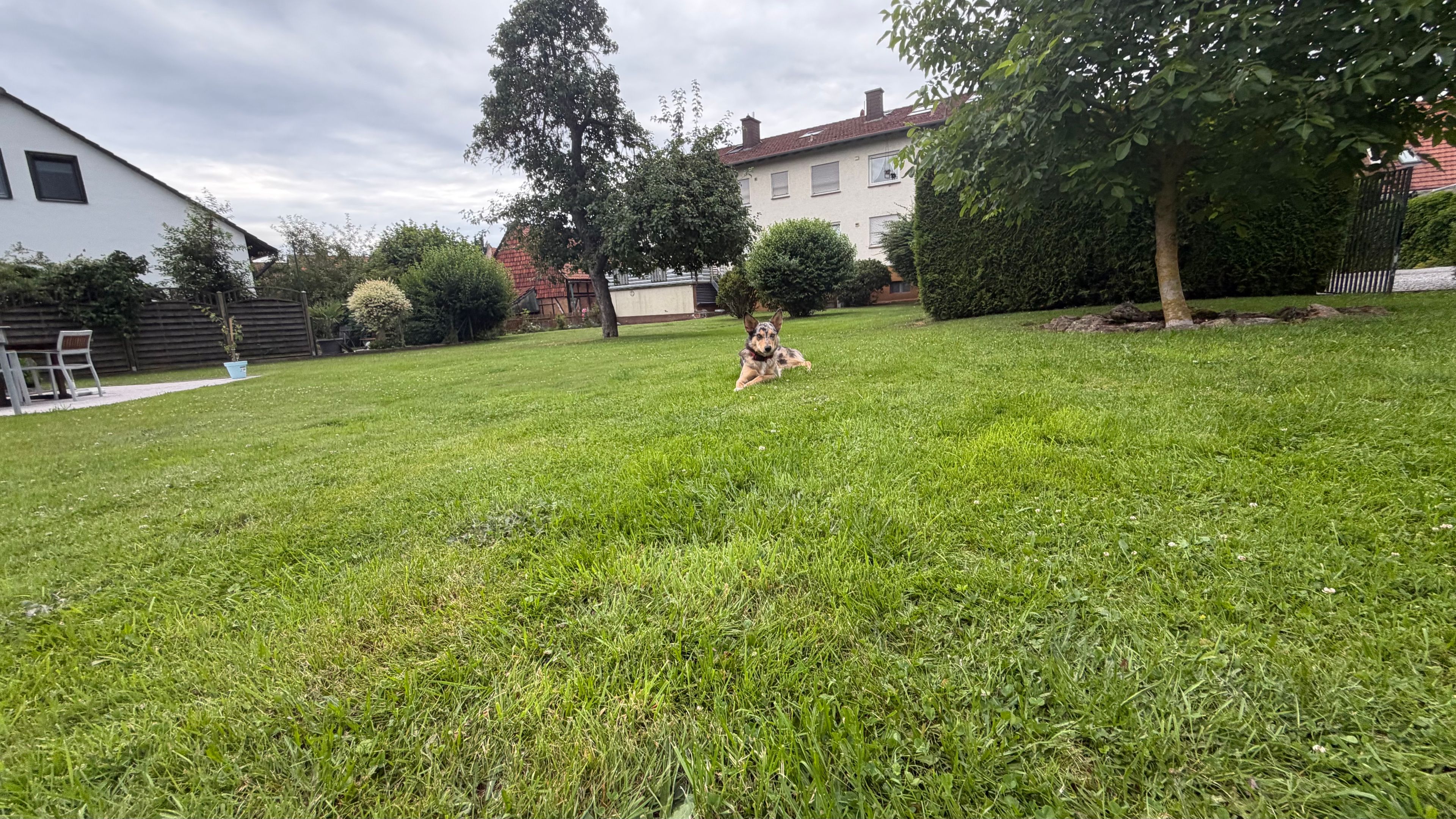 image-17