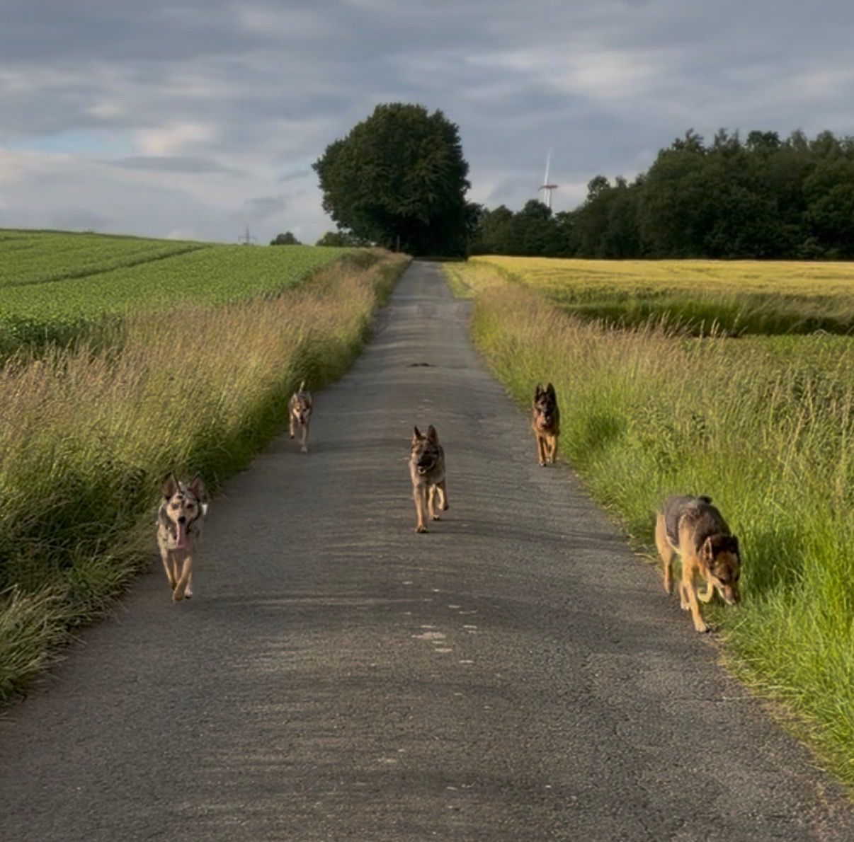 image-9