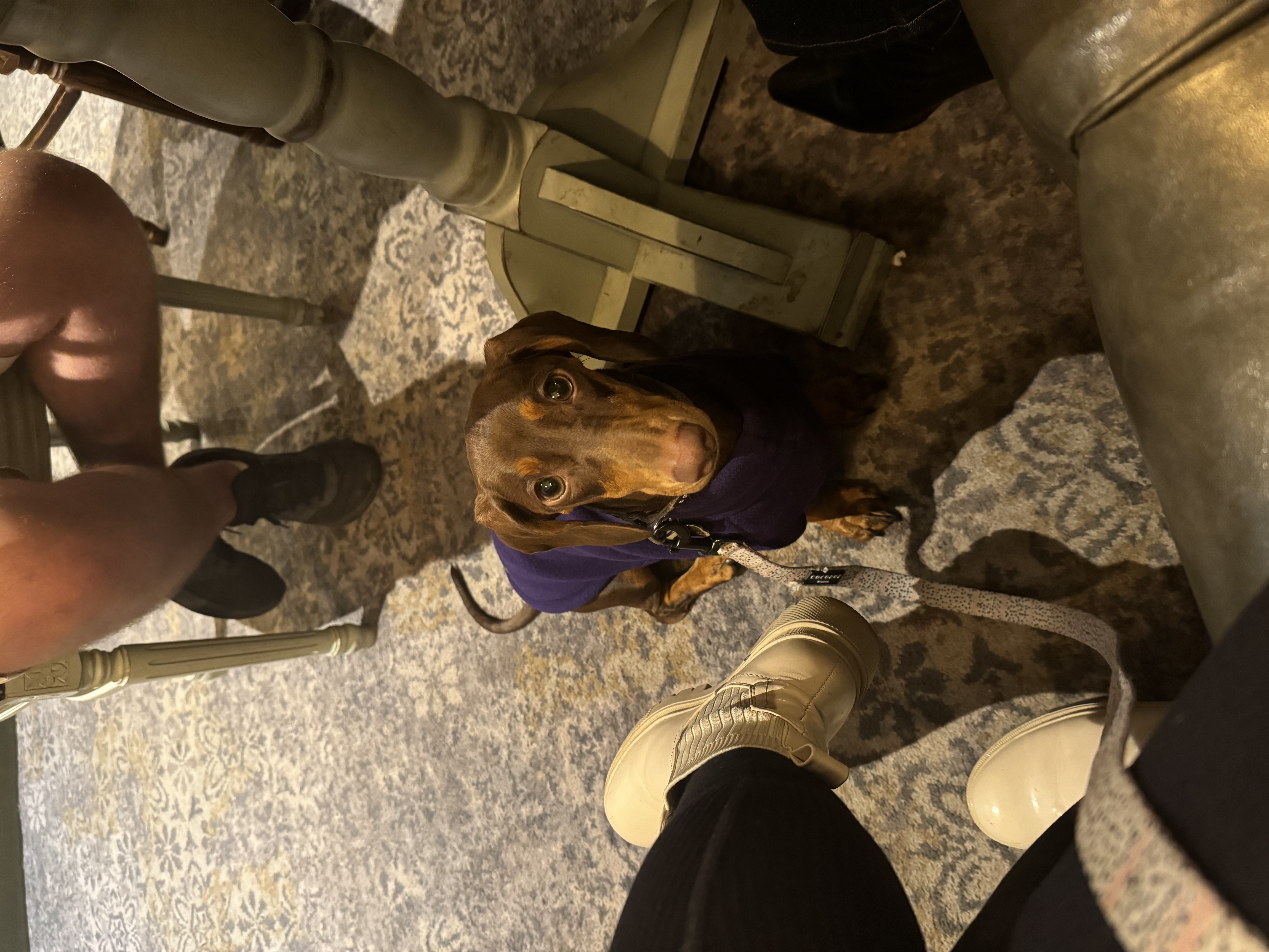 image-8