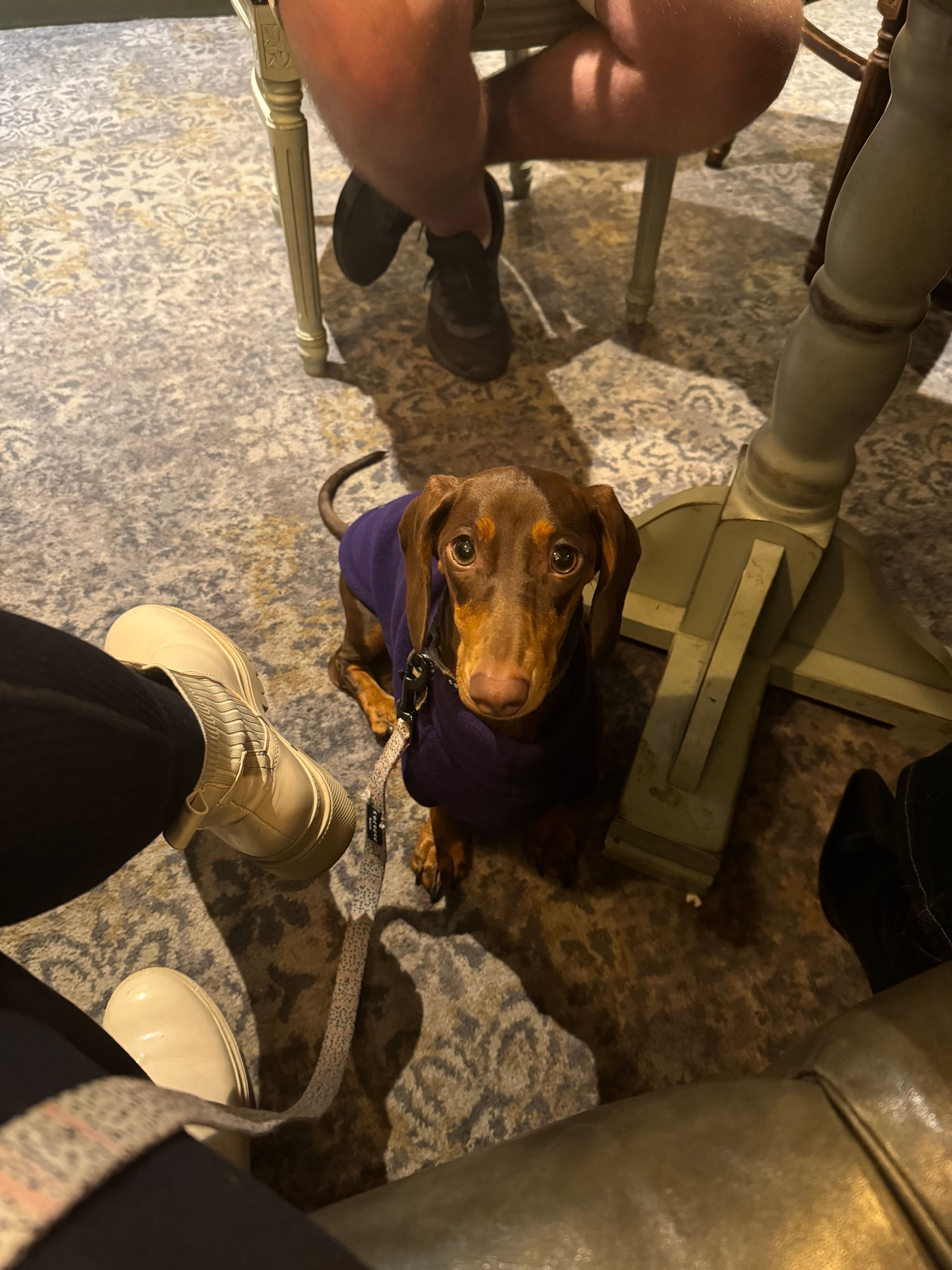 image-8