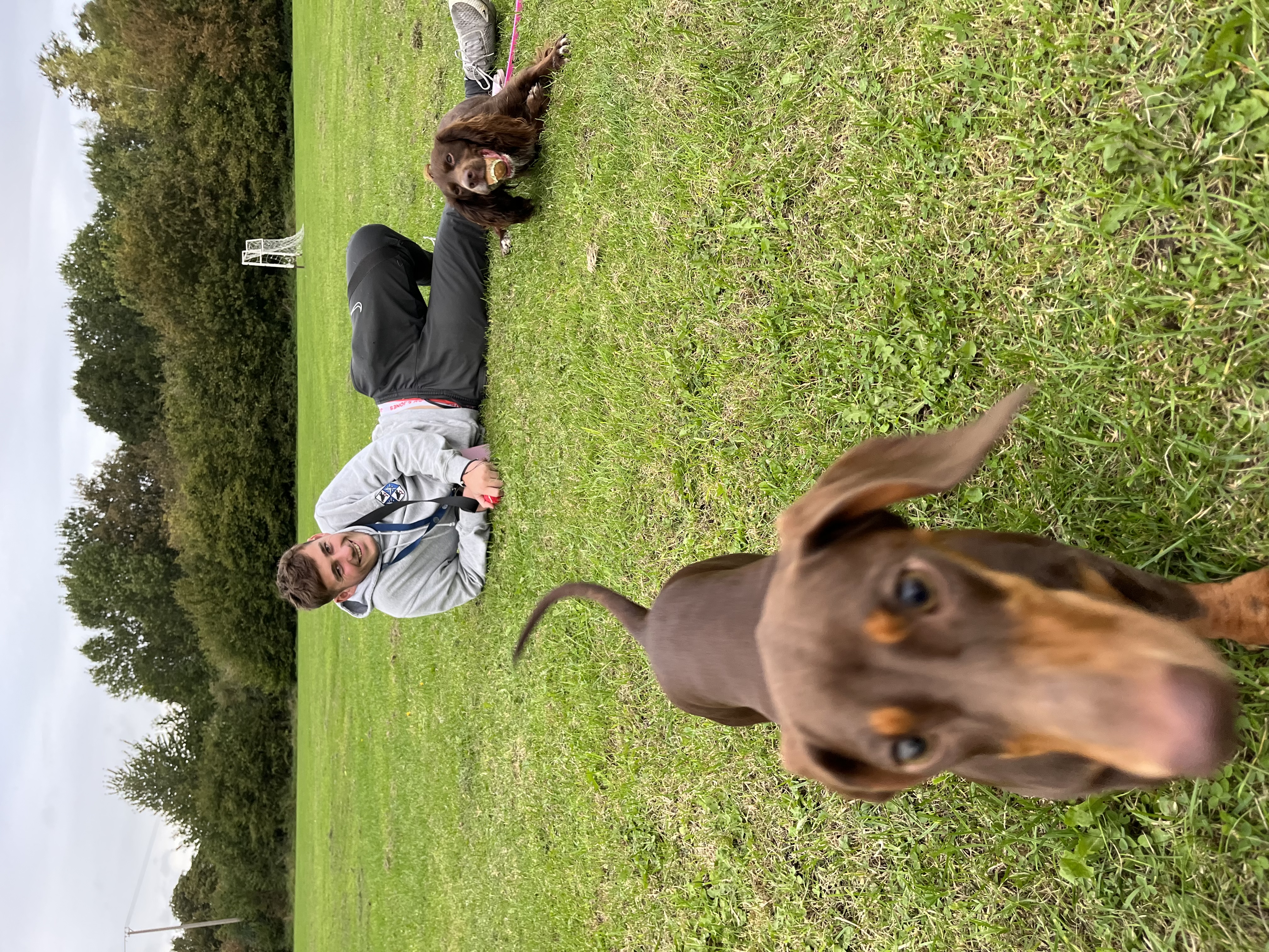 image-7