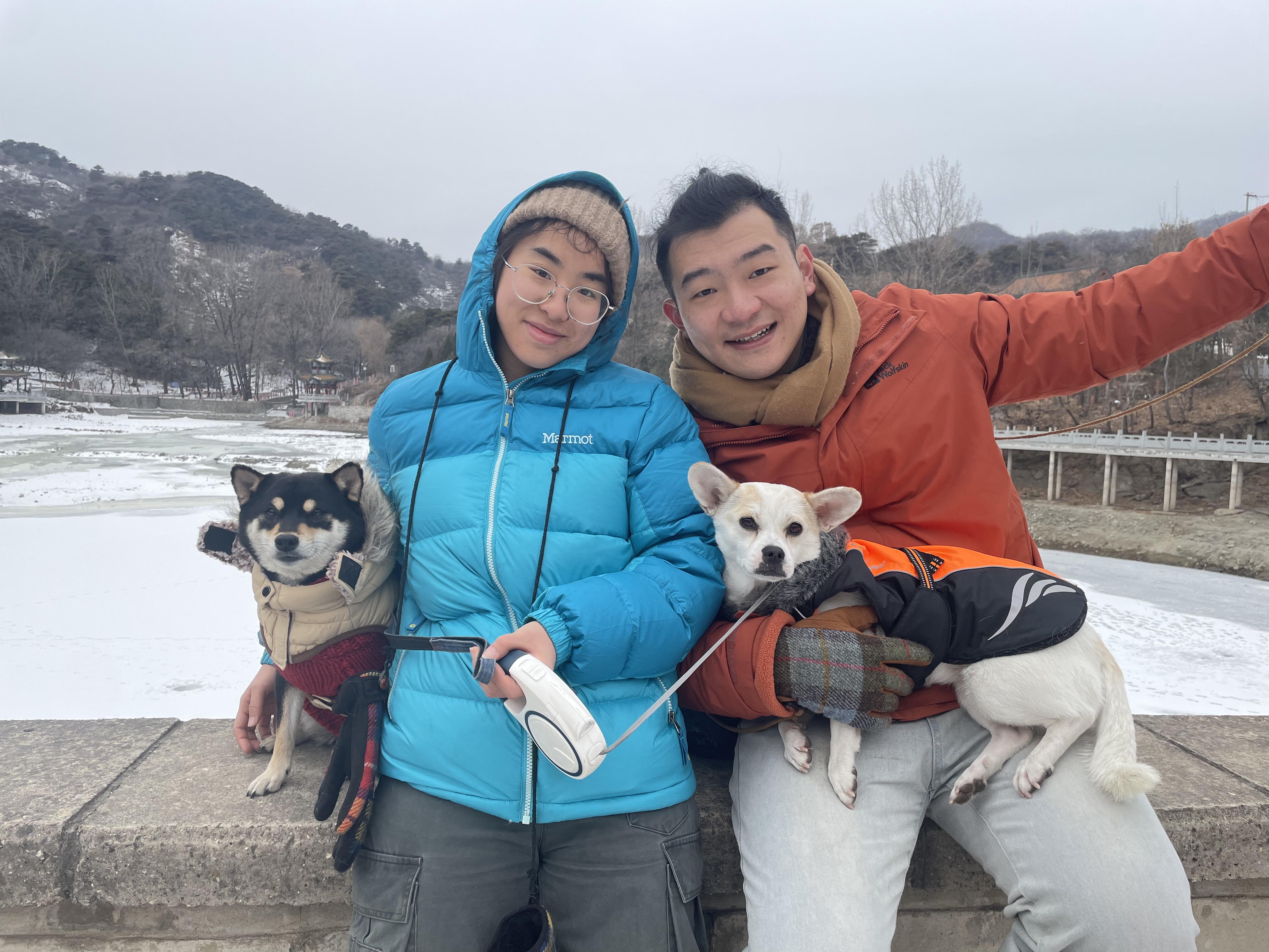 image-12