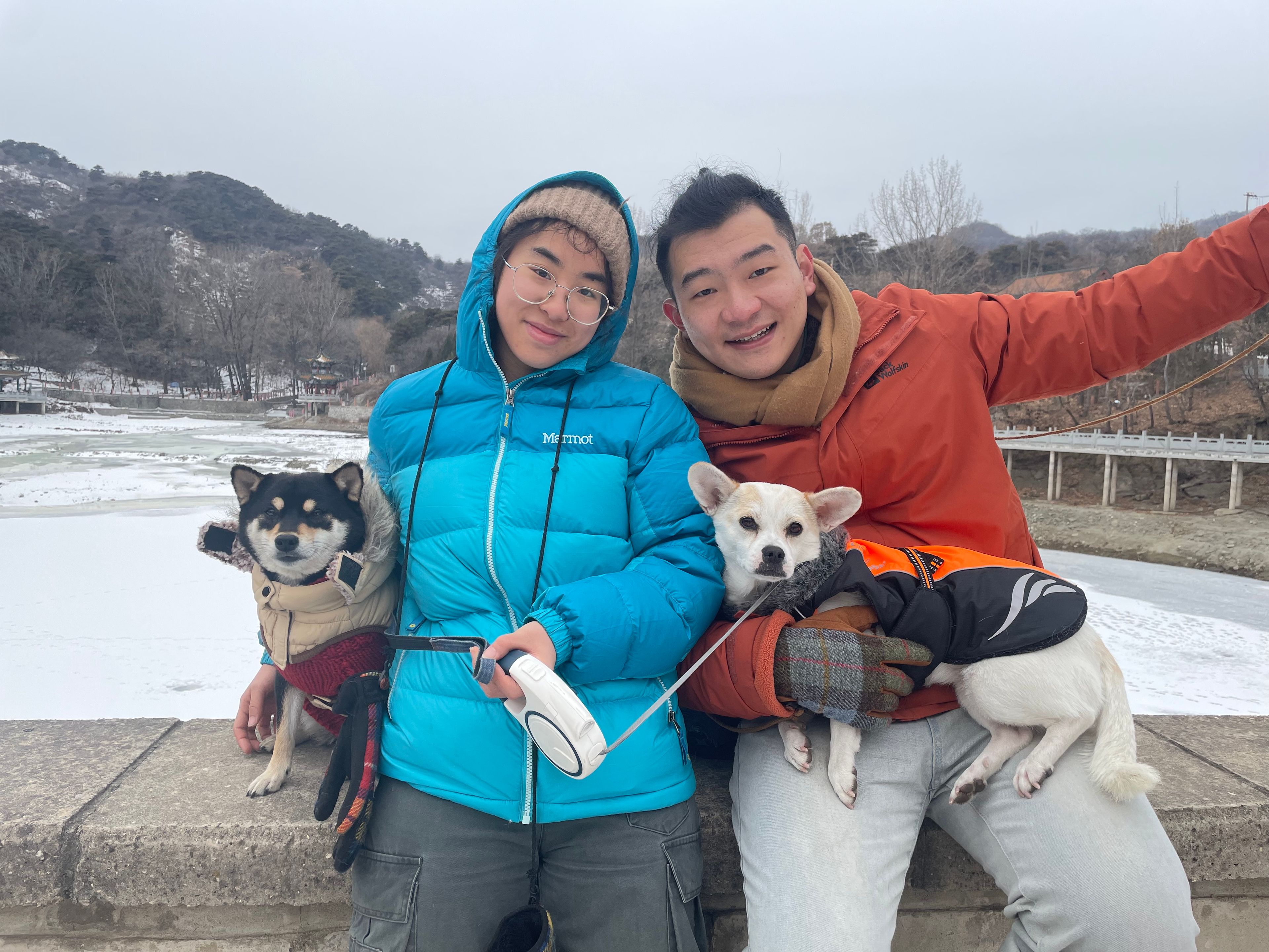 image-12