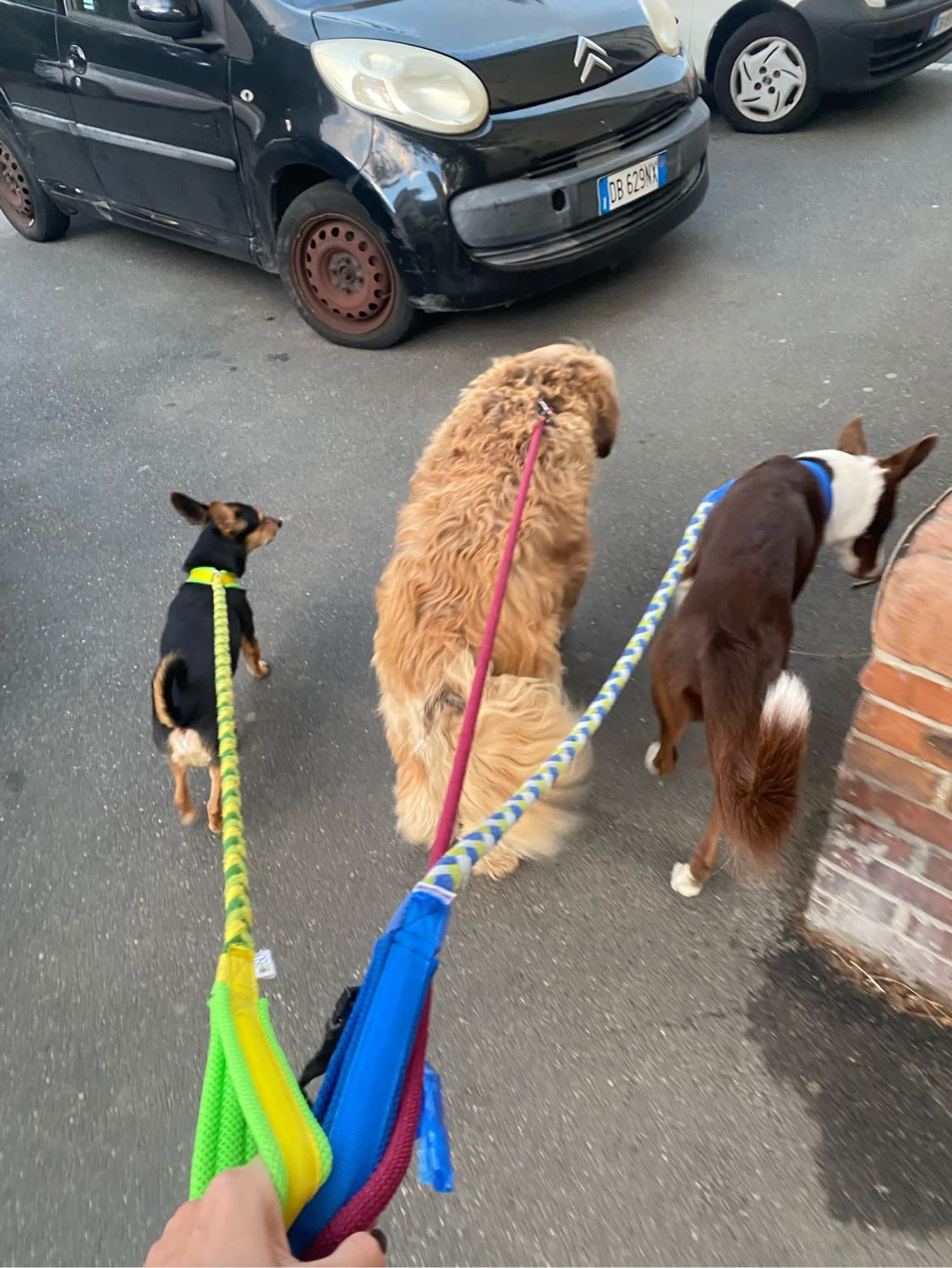 image-5