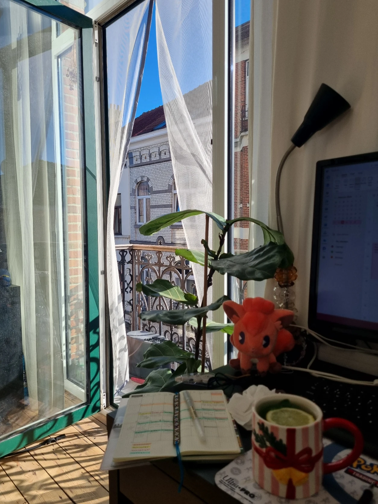 image-11