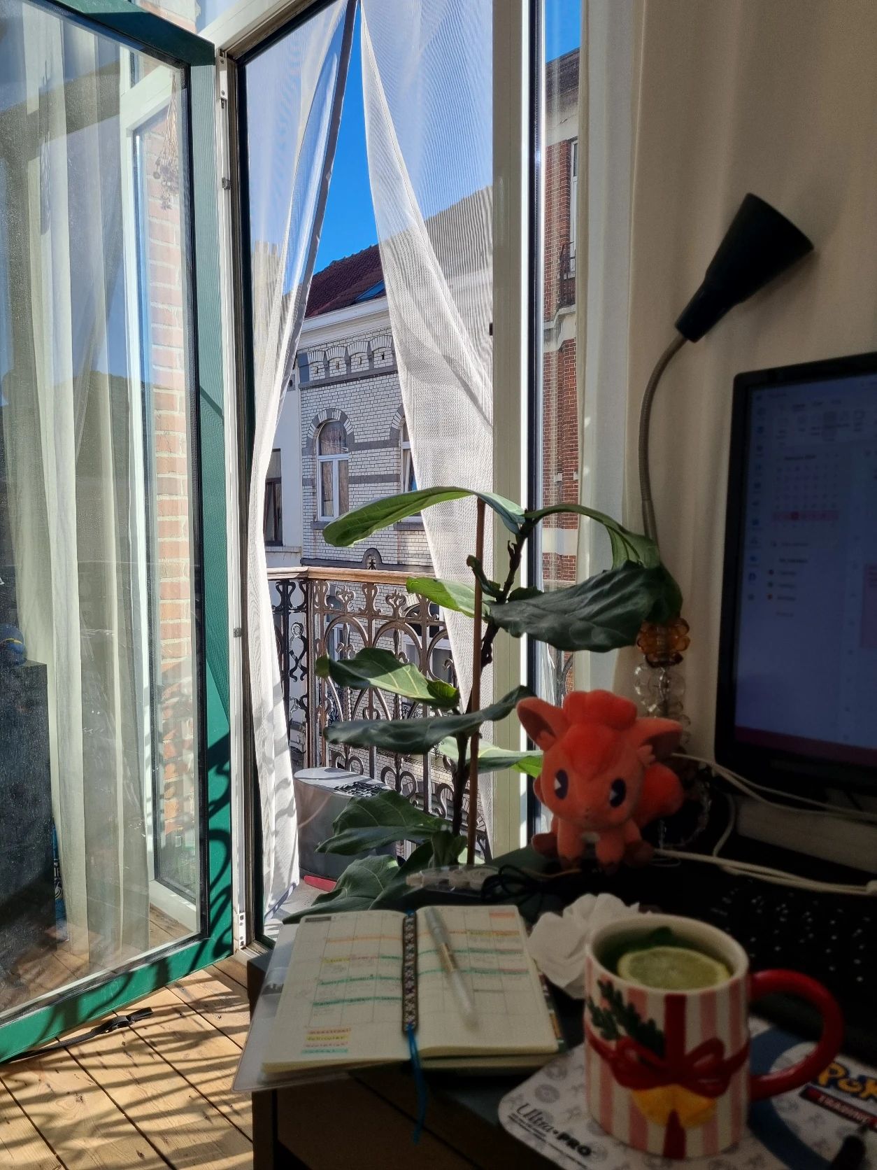 image-11