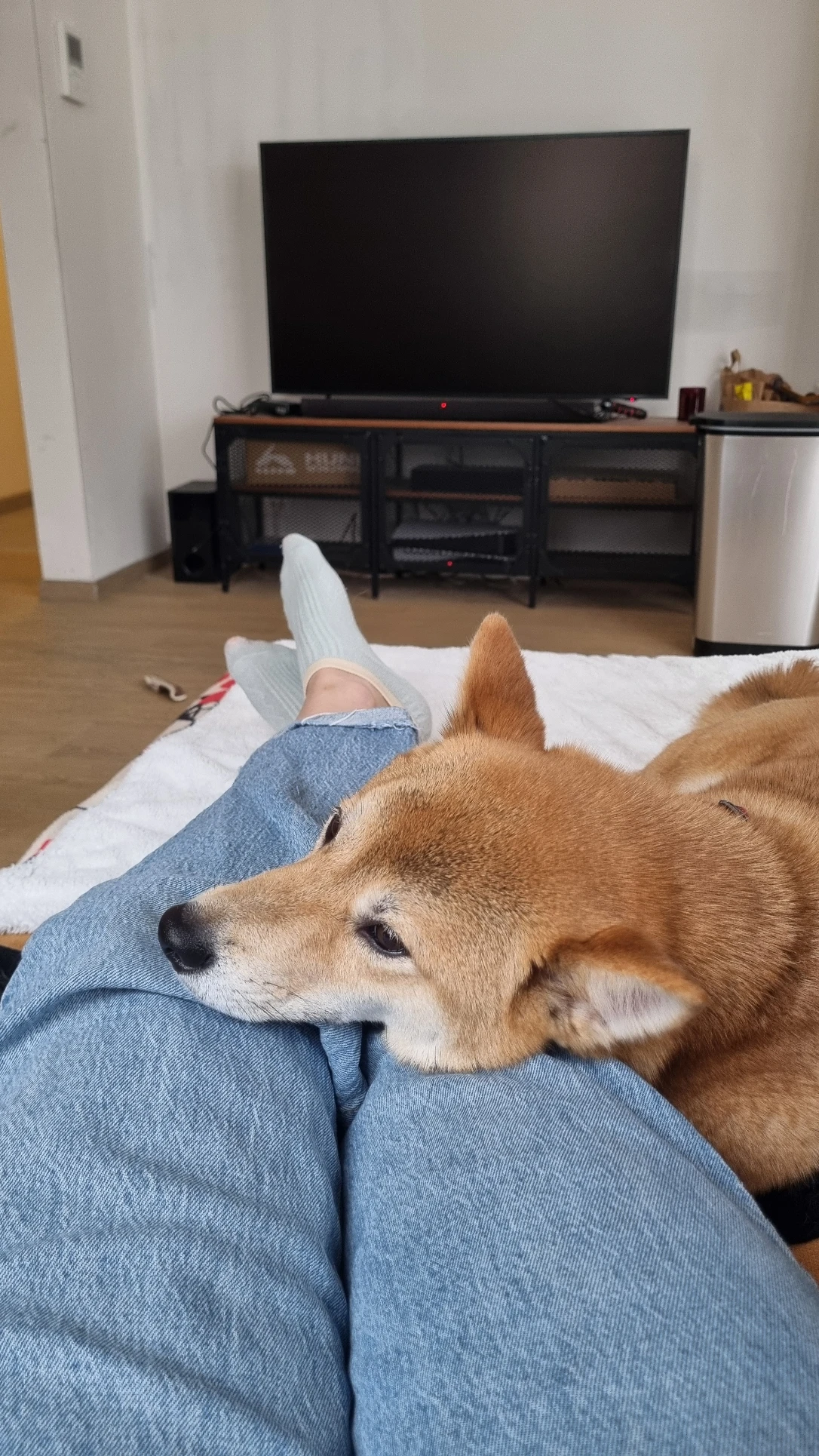 image-7