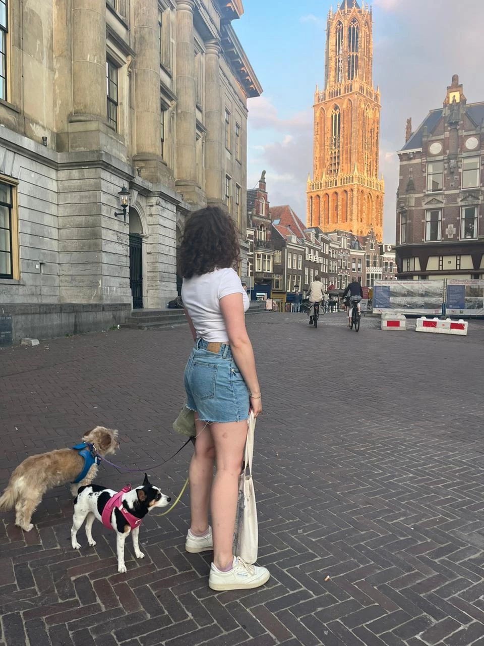image-6