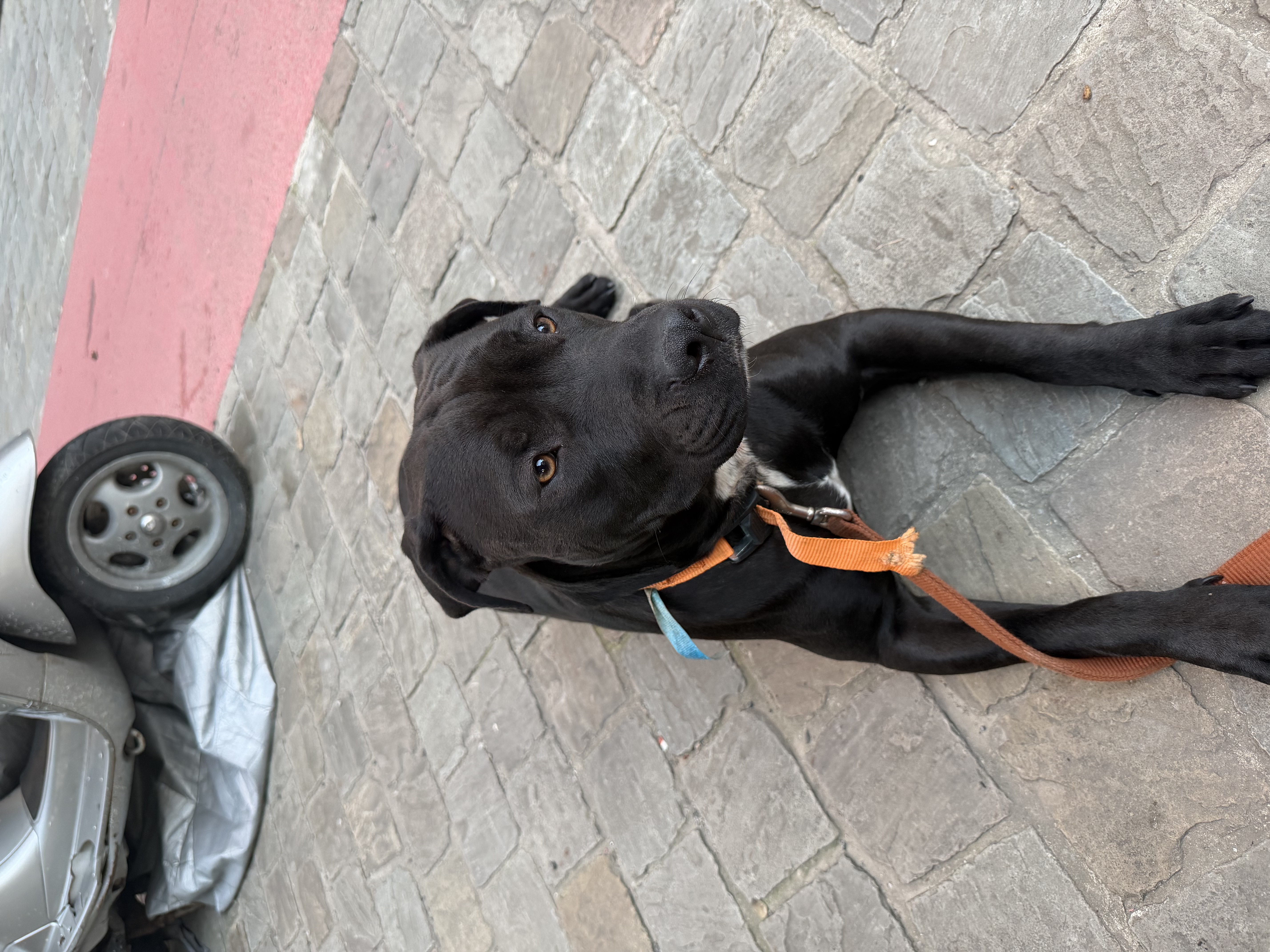 image-9
