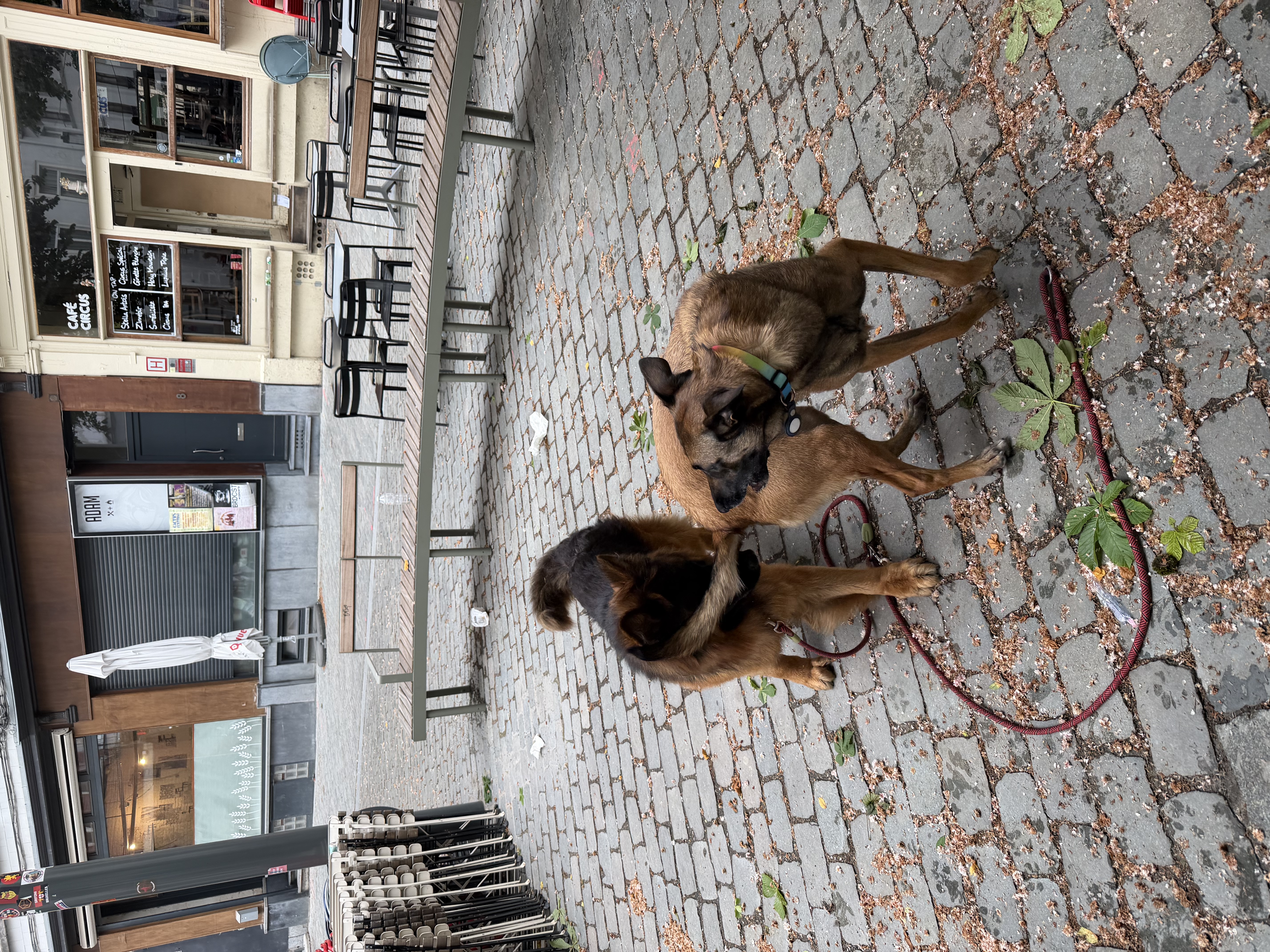 image-11