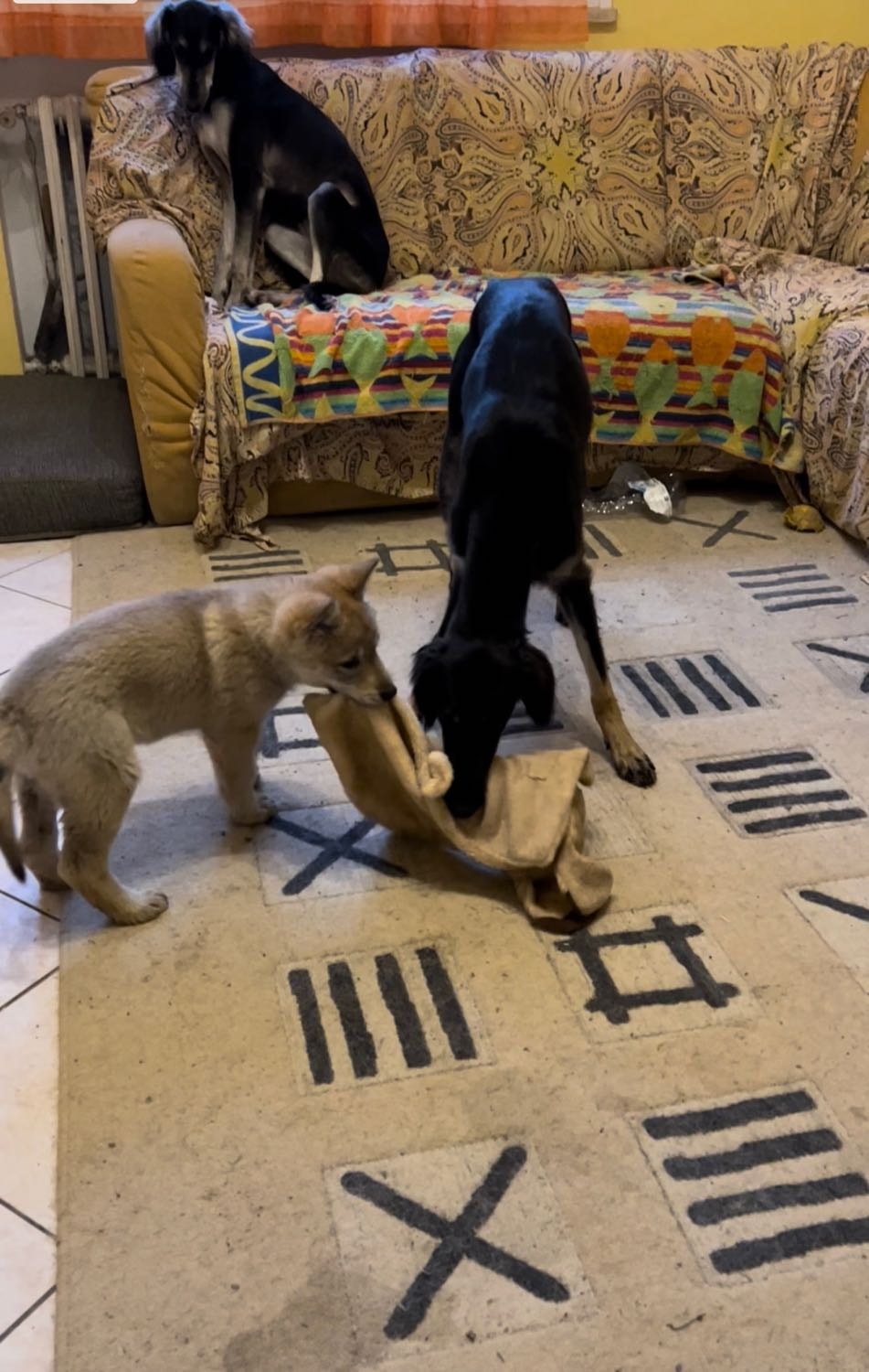 image-6