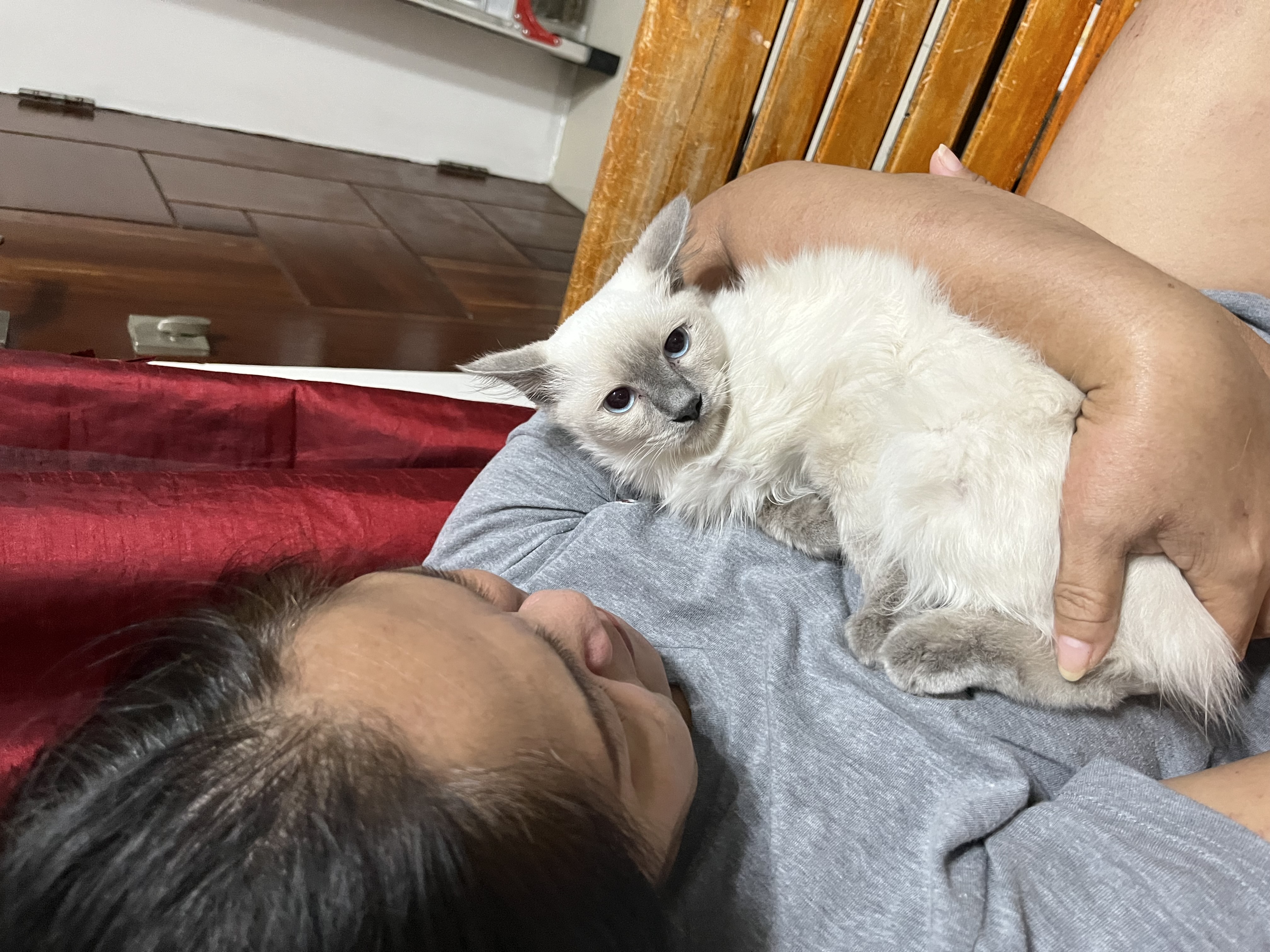 image-31