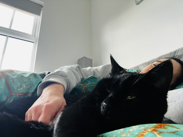 image-7