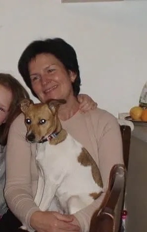 image-2
