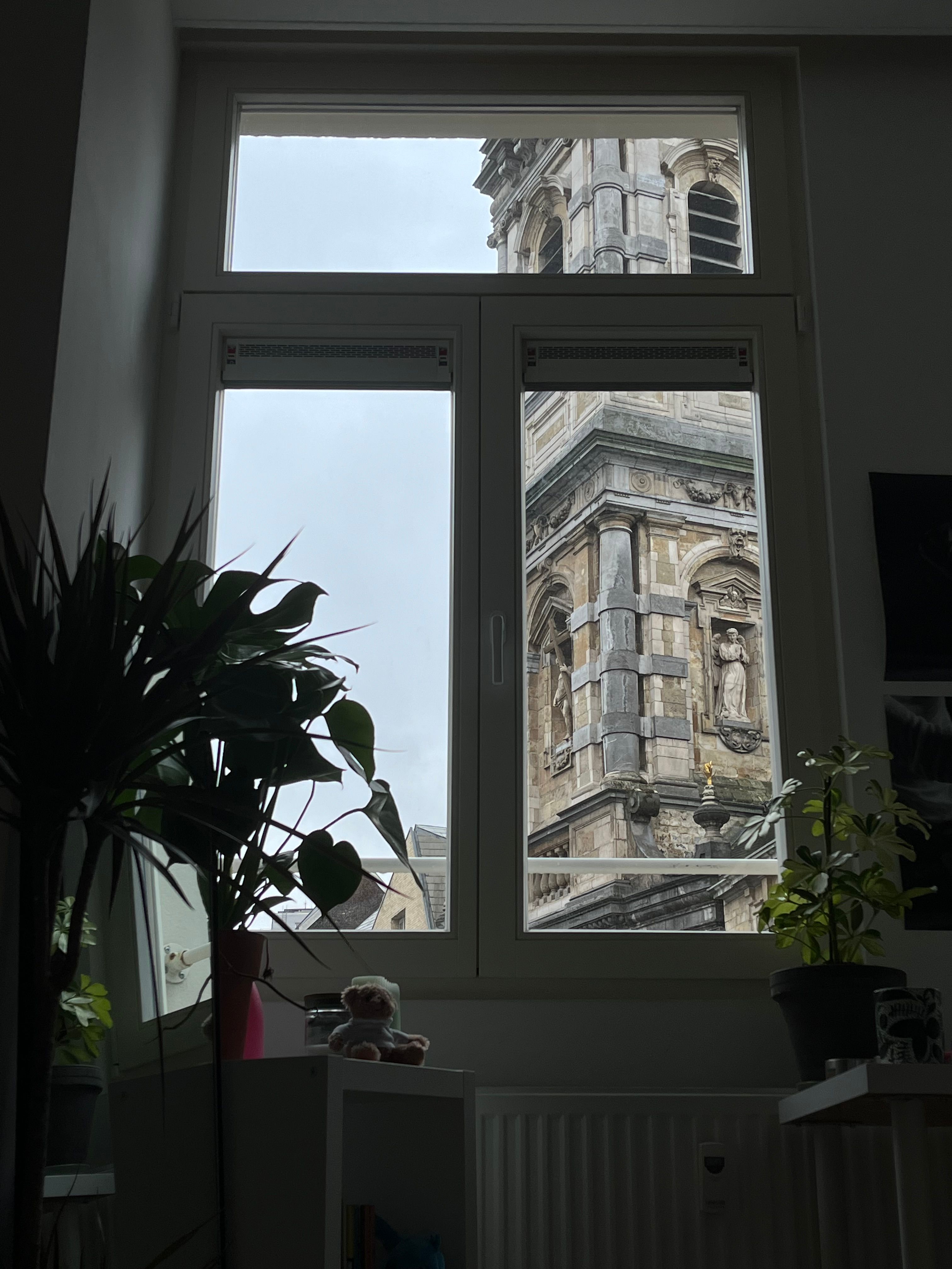 image-13