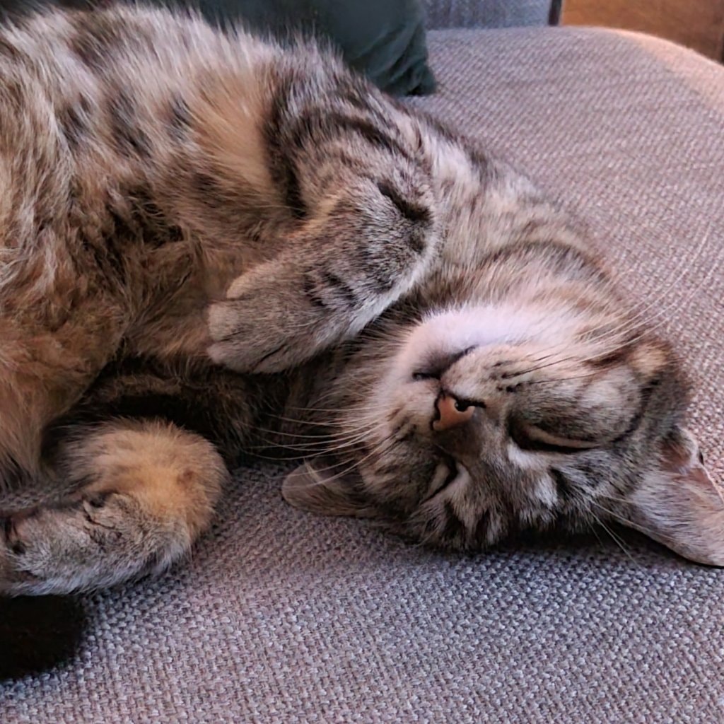 Noortje