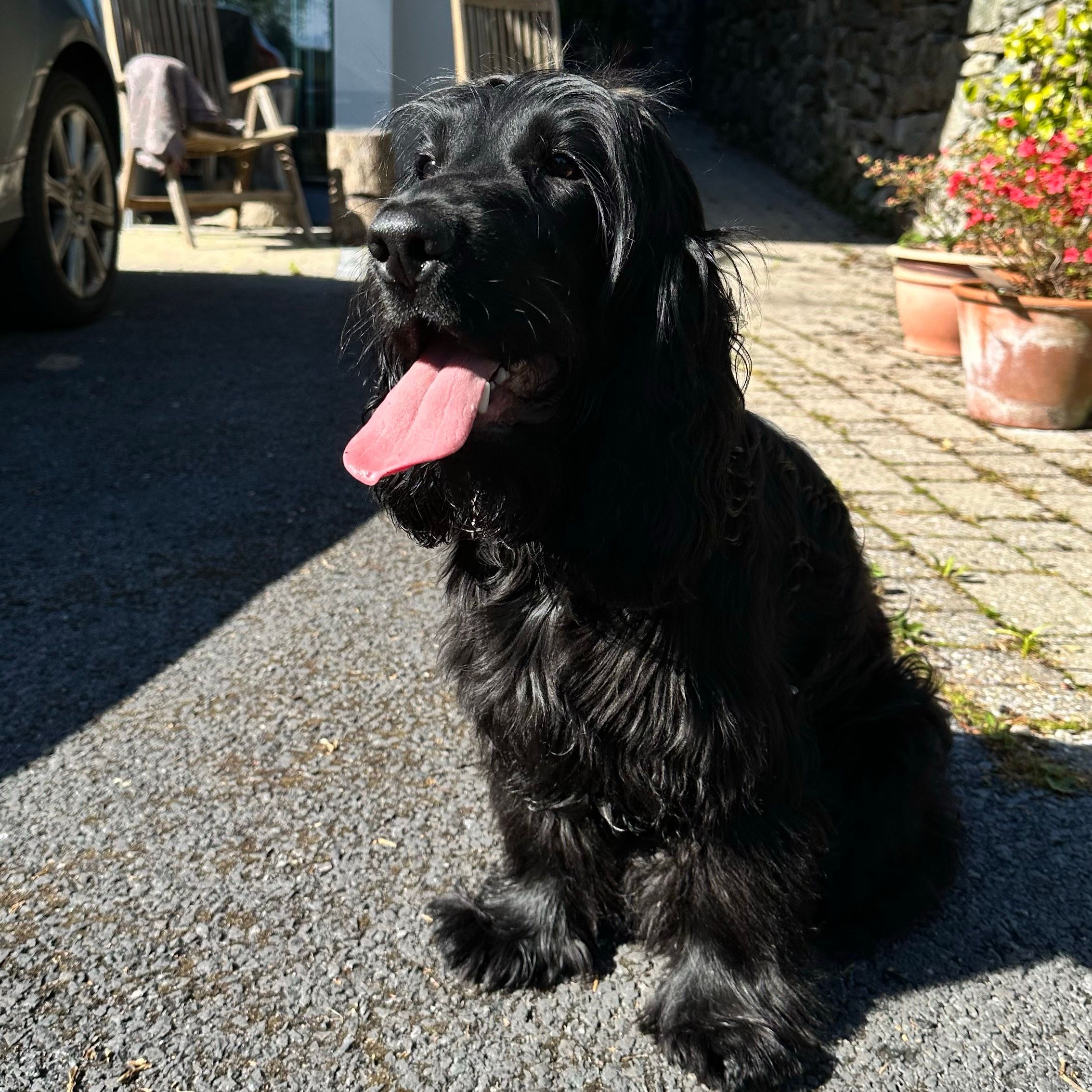 Finn