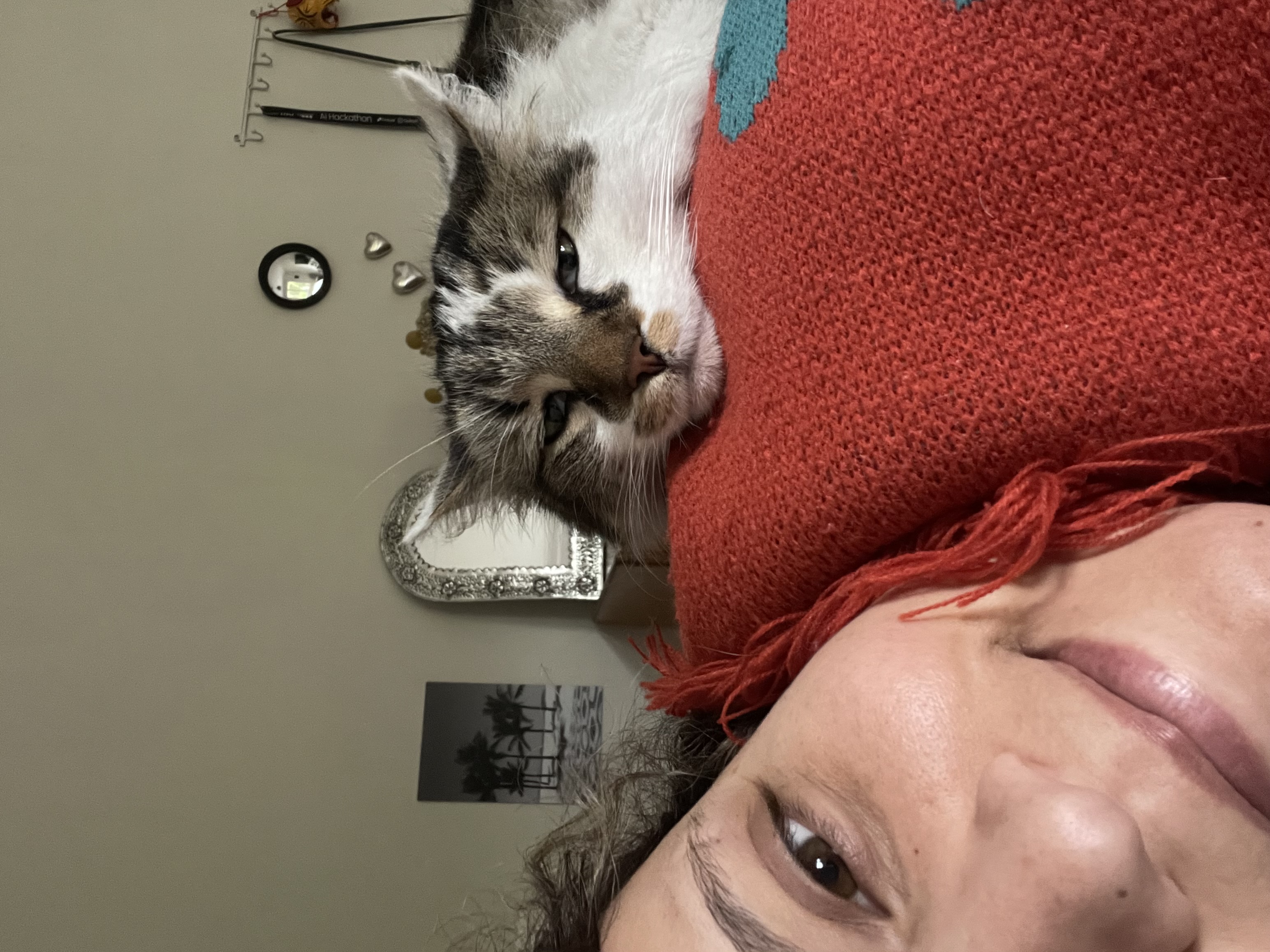 image-9