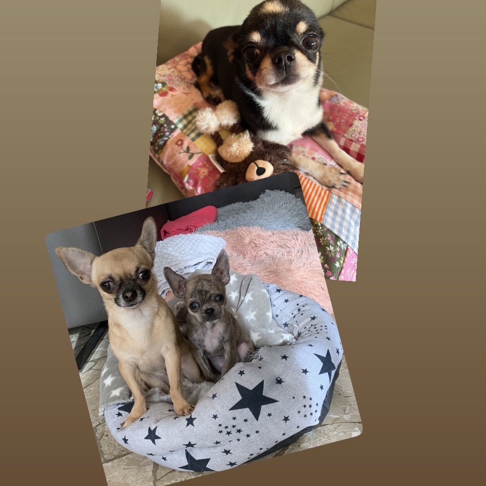 Milla, Circe e Luna