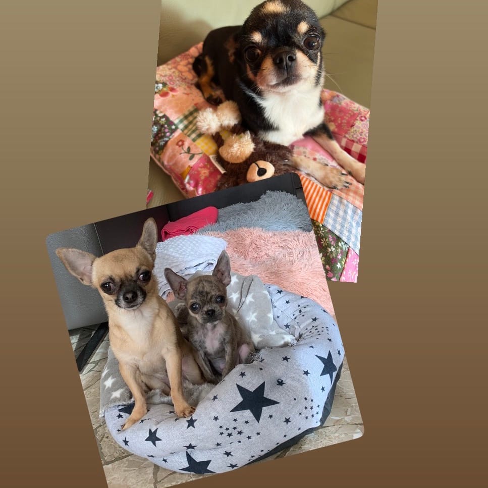 Milla, Circe e Luna