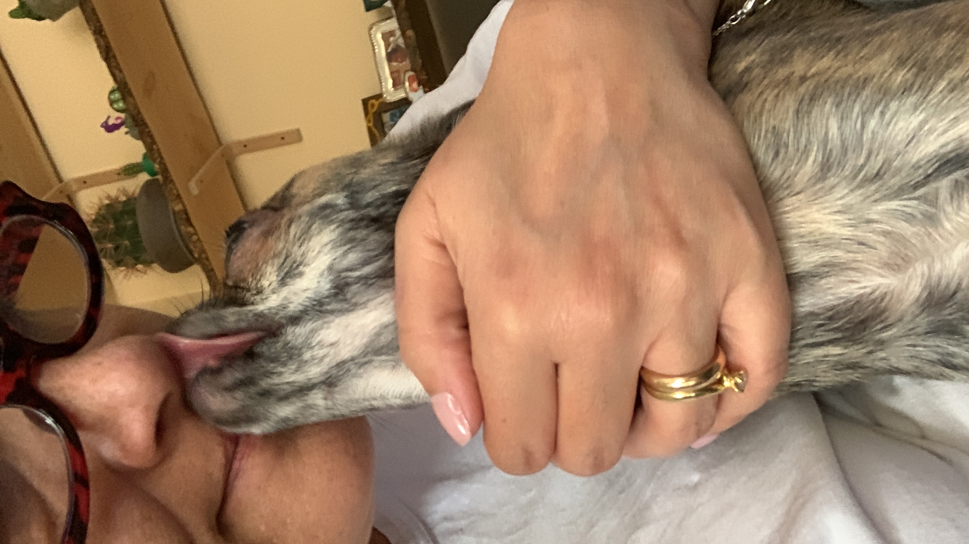 image-3