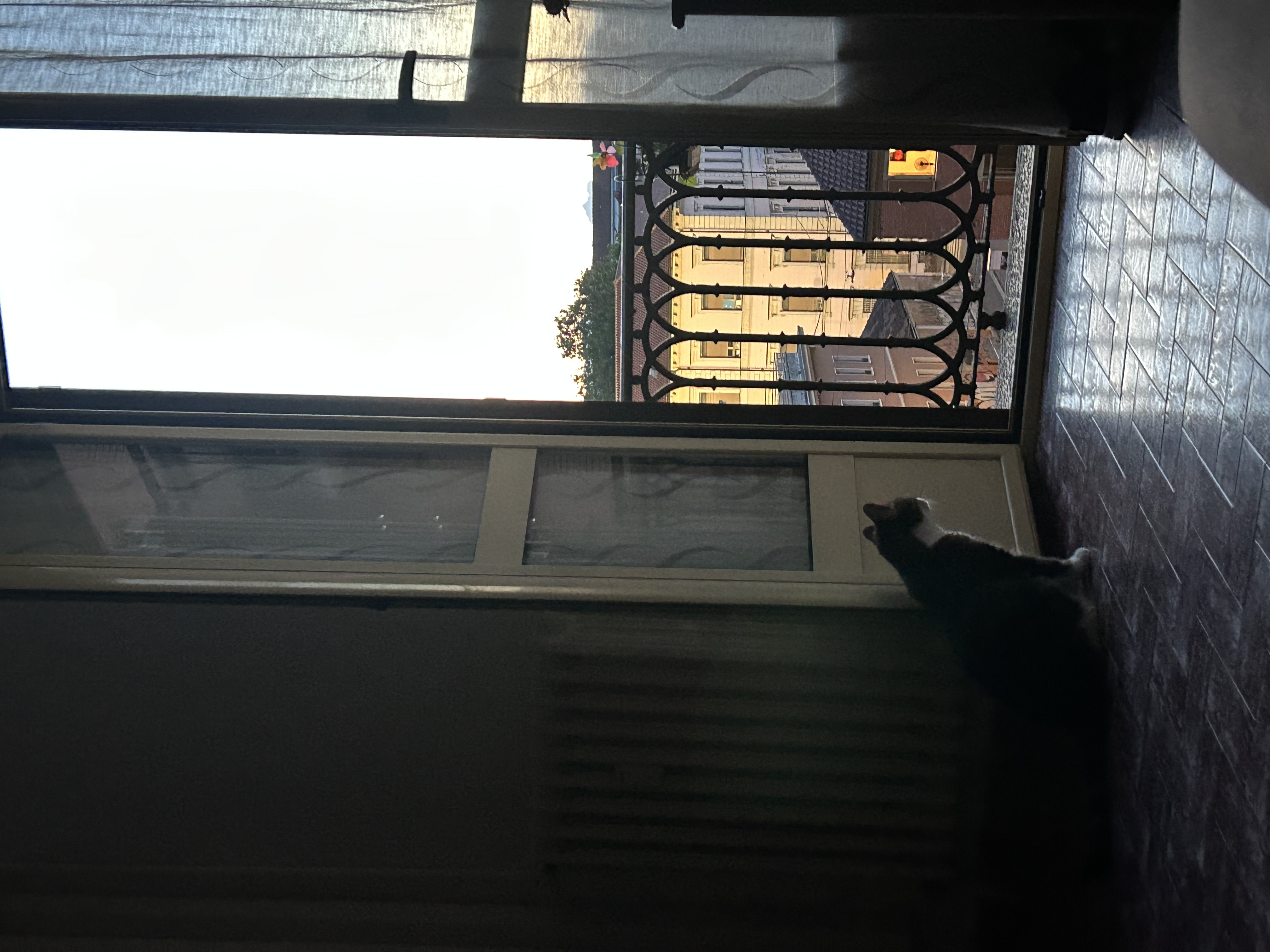 image-12