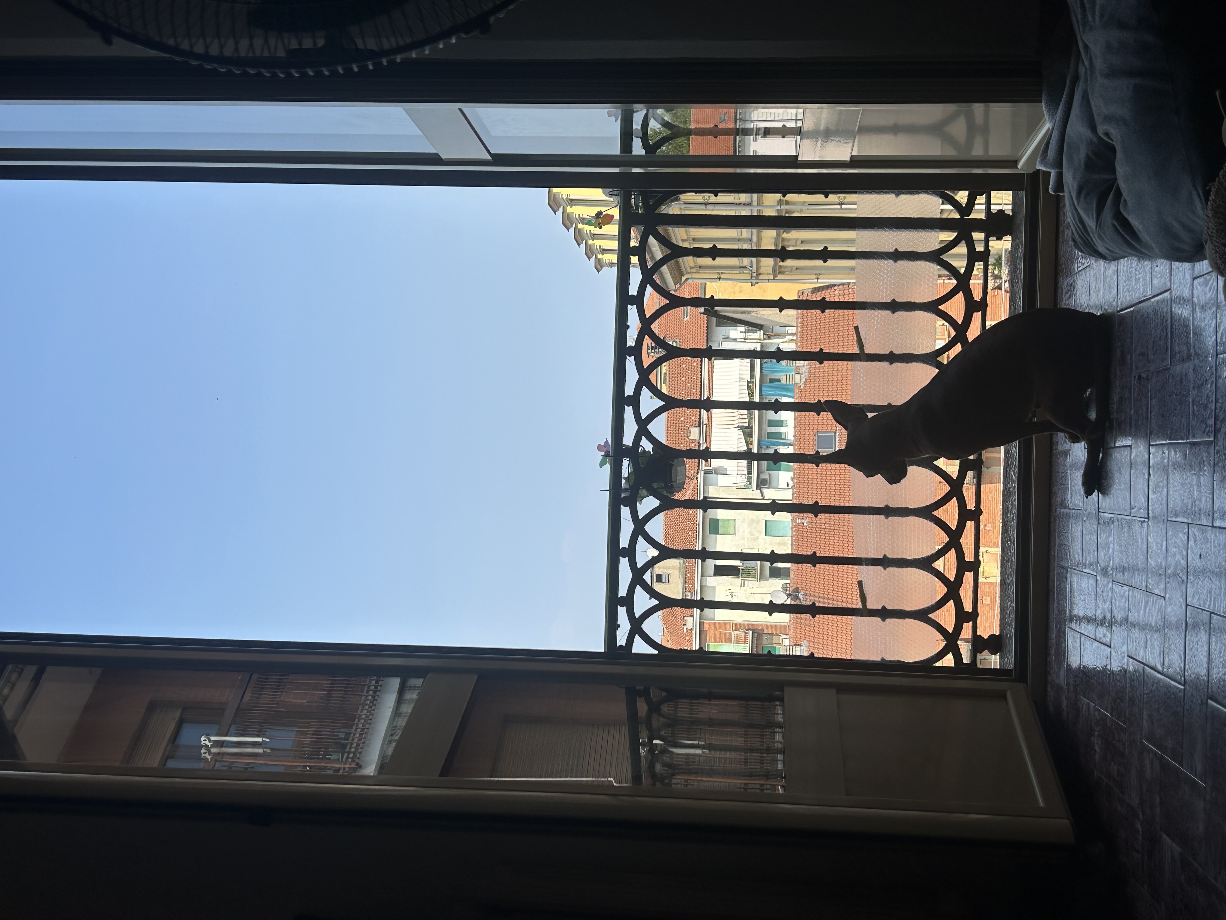image-14