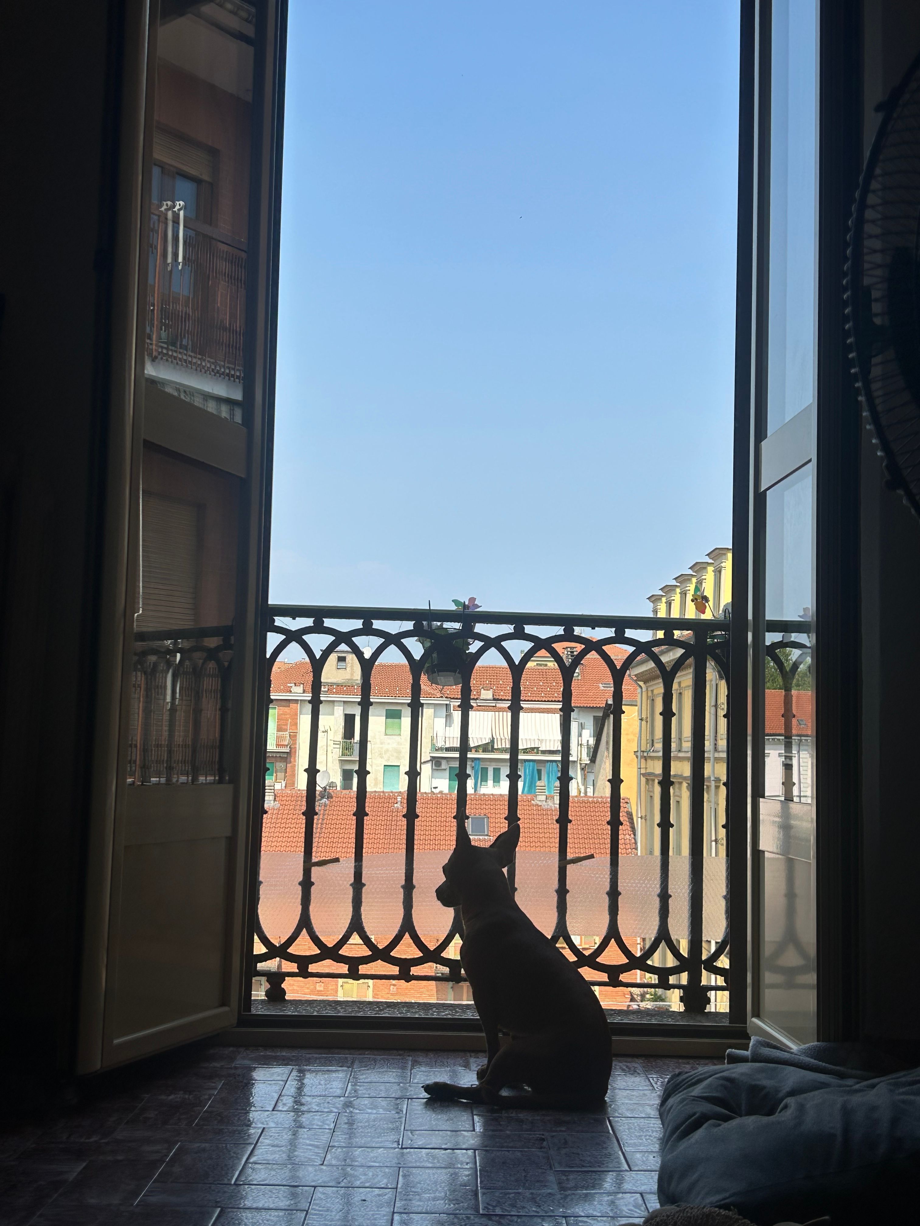 image-14