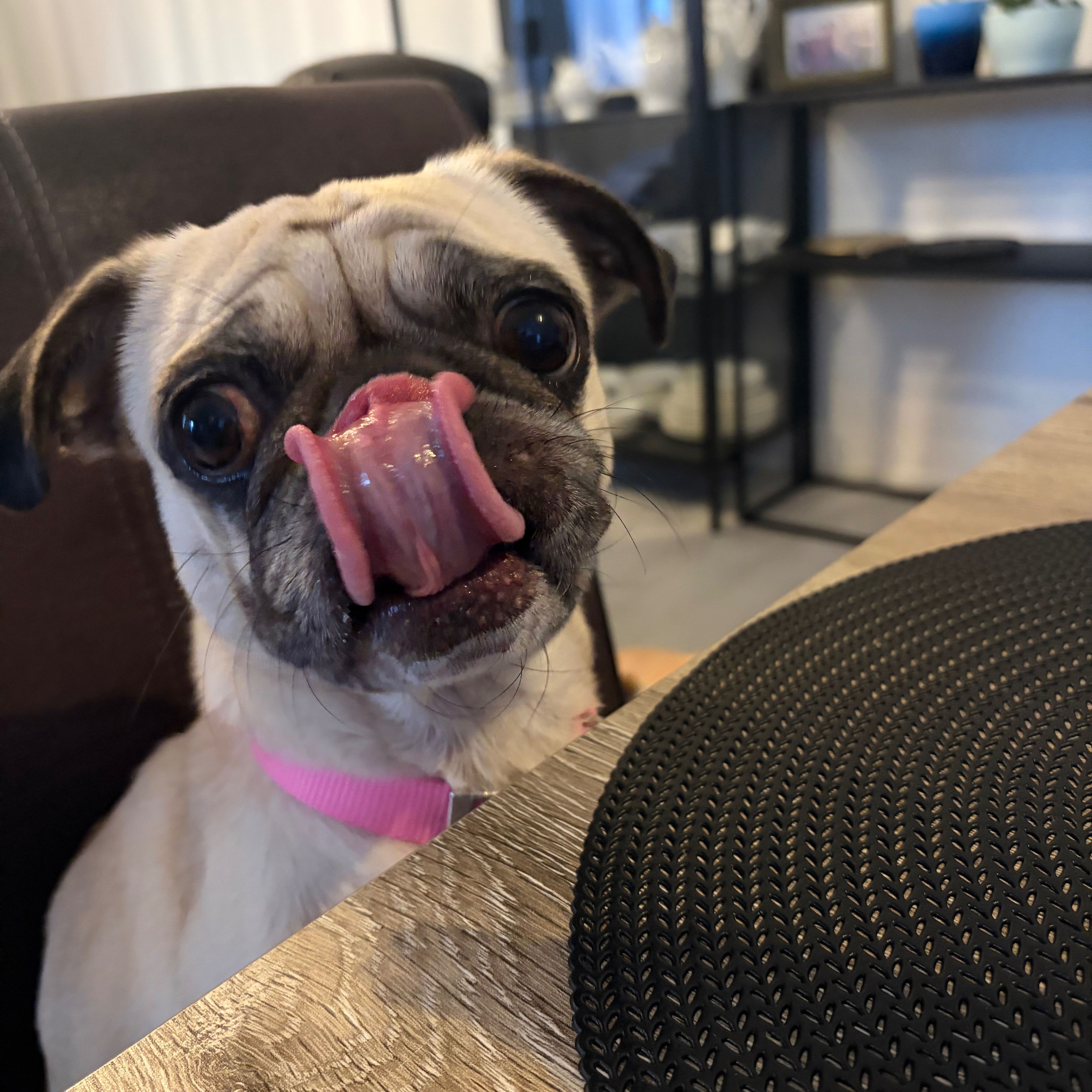 Zoey