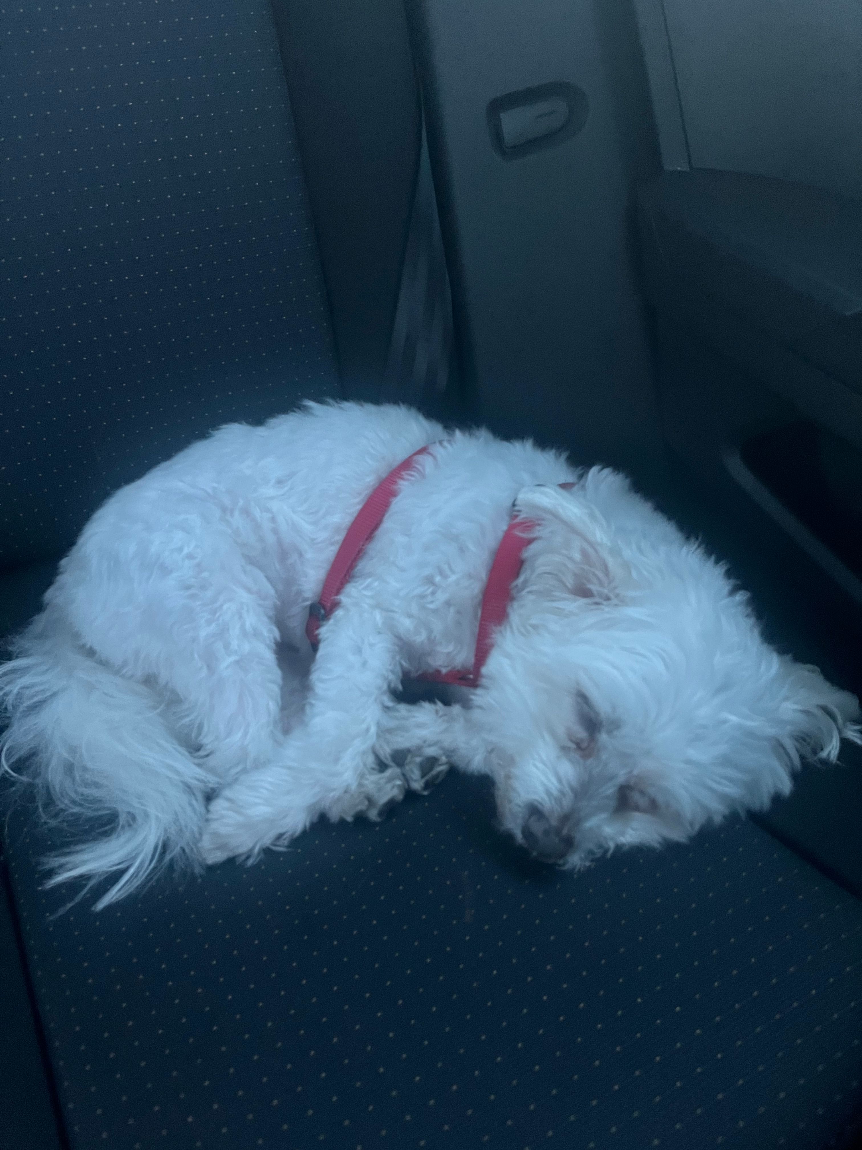 image-28