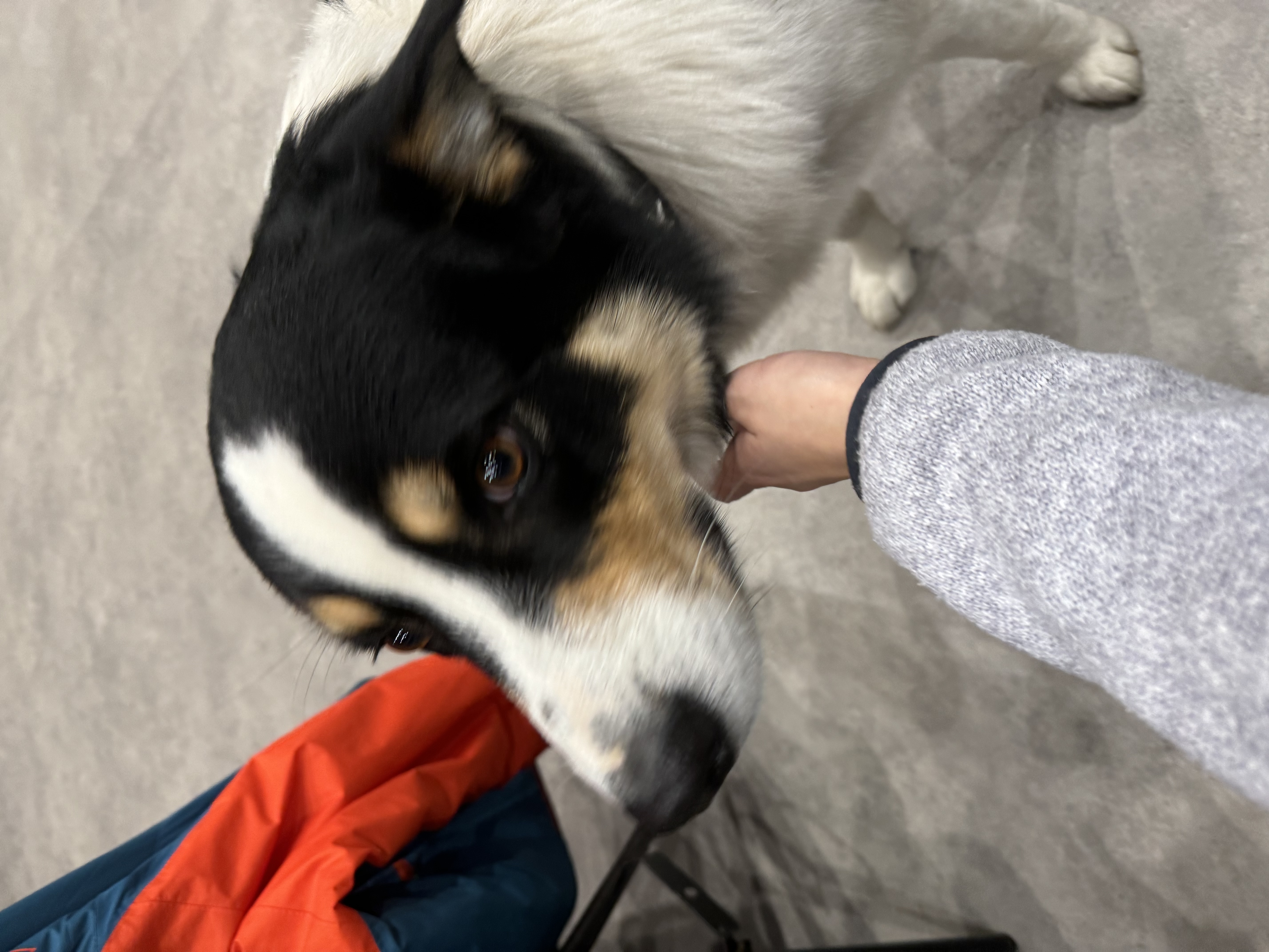 image-13