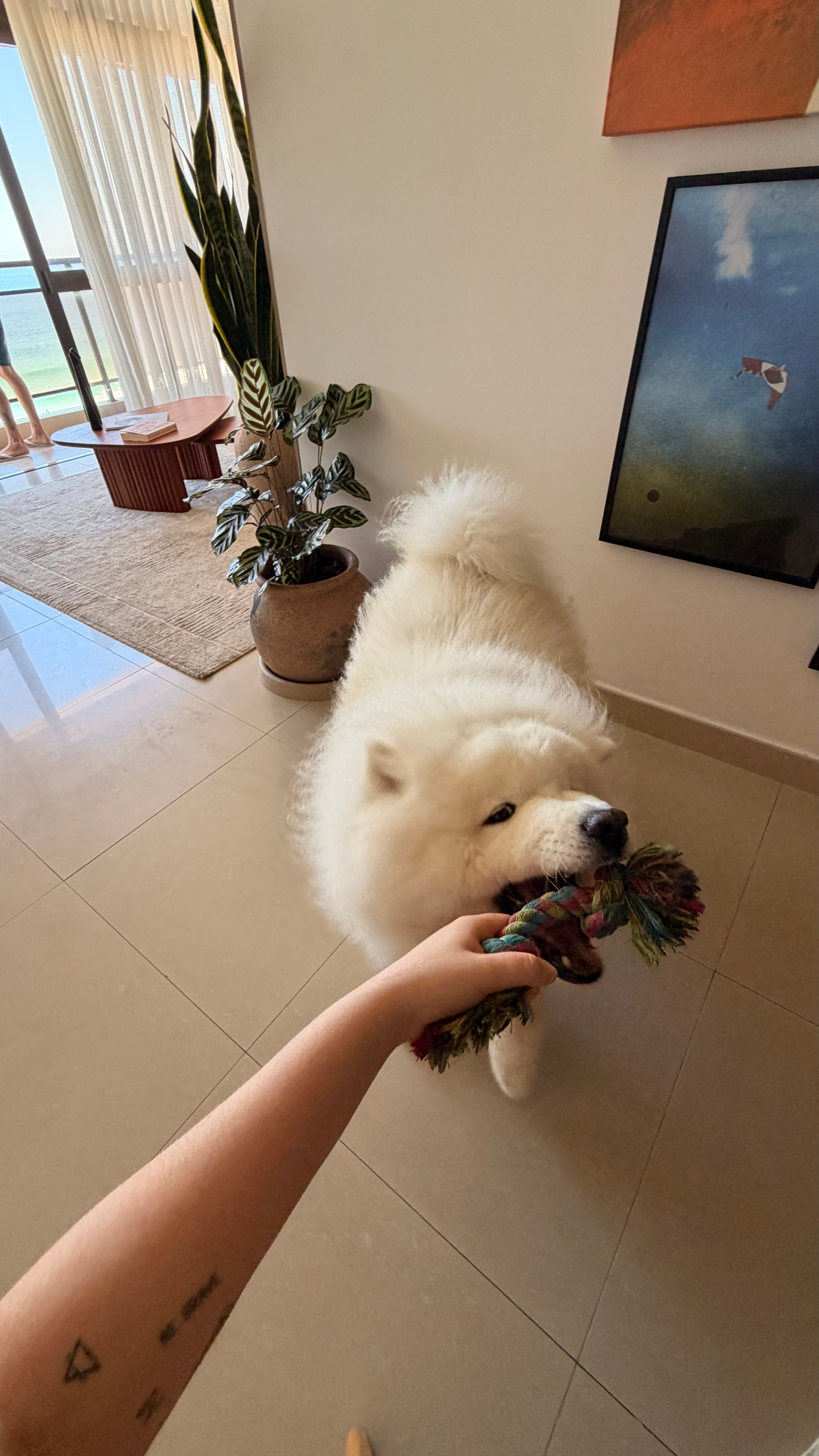 image-8