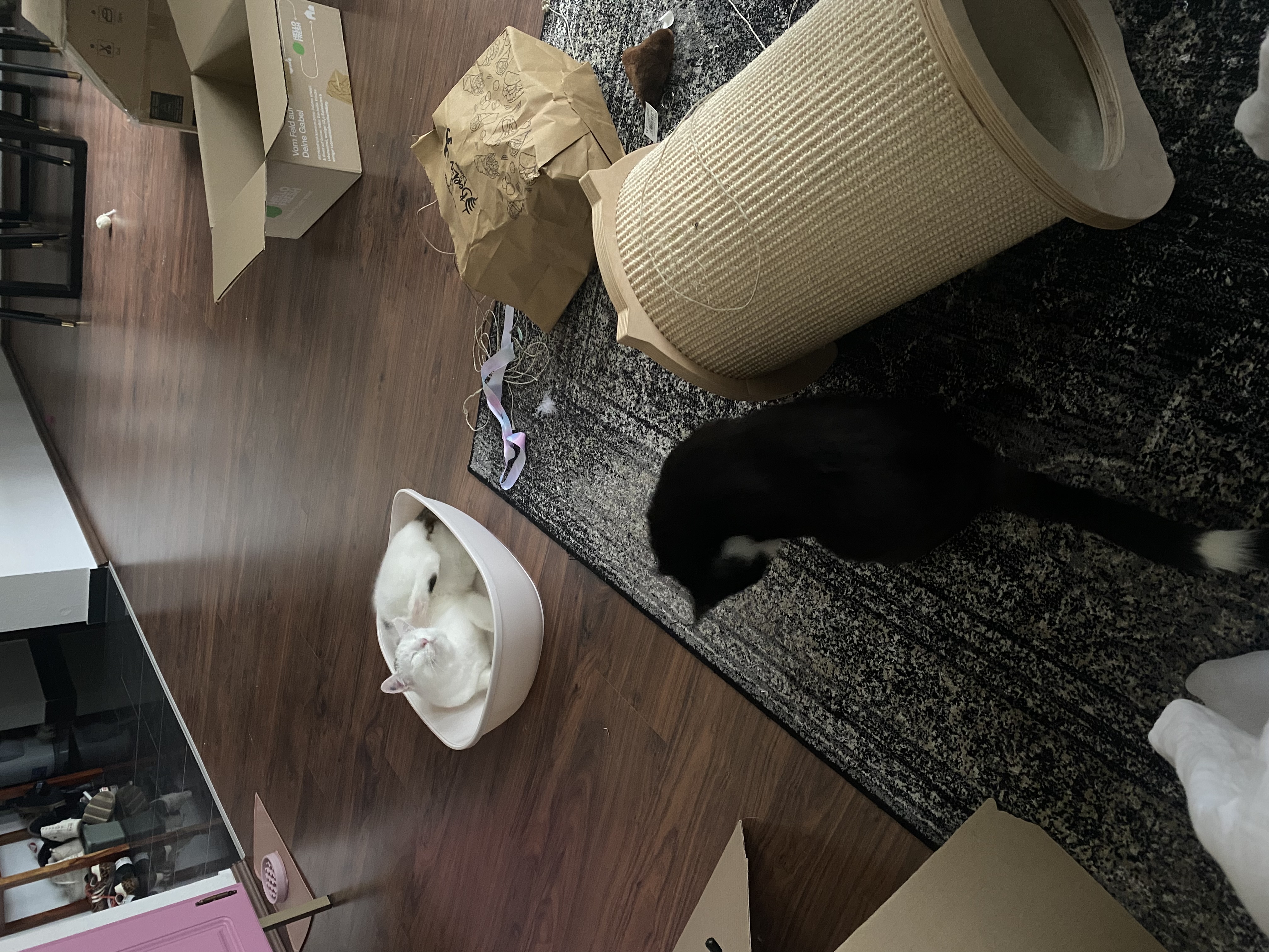 image-7